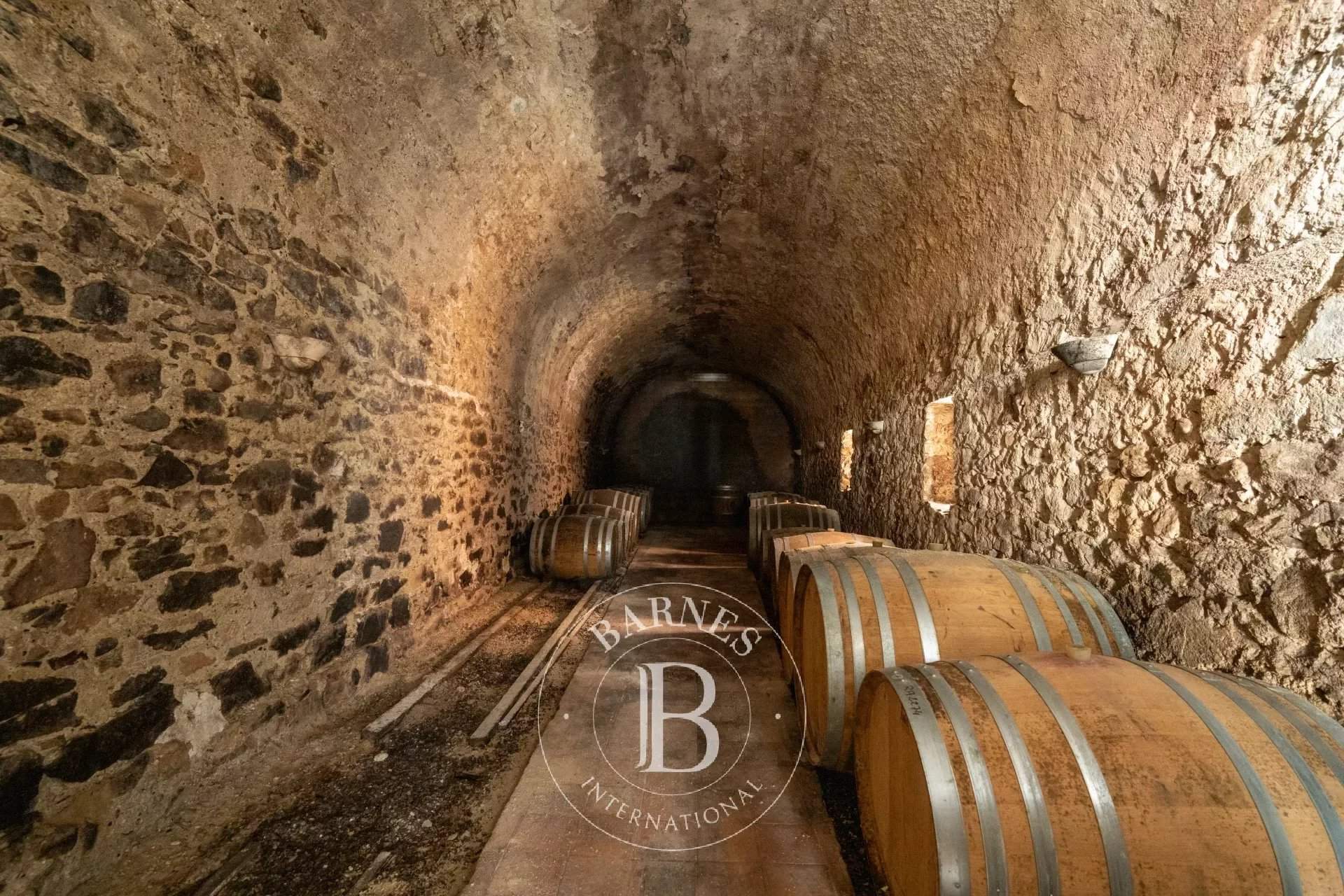 Capendu  - Propriété viticole 17 Pi&egrave;ces 12 Chambres - picture 6