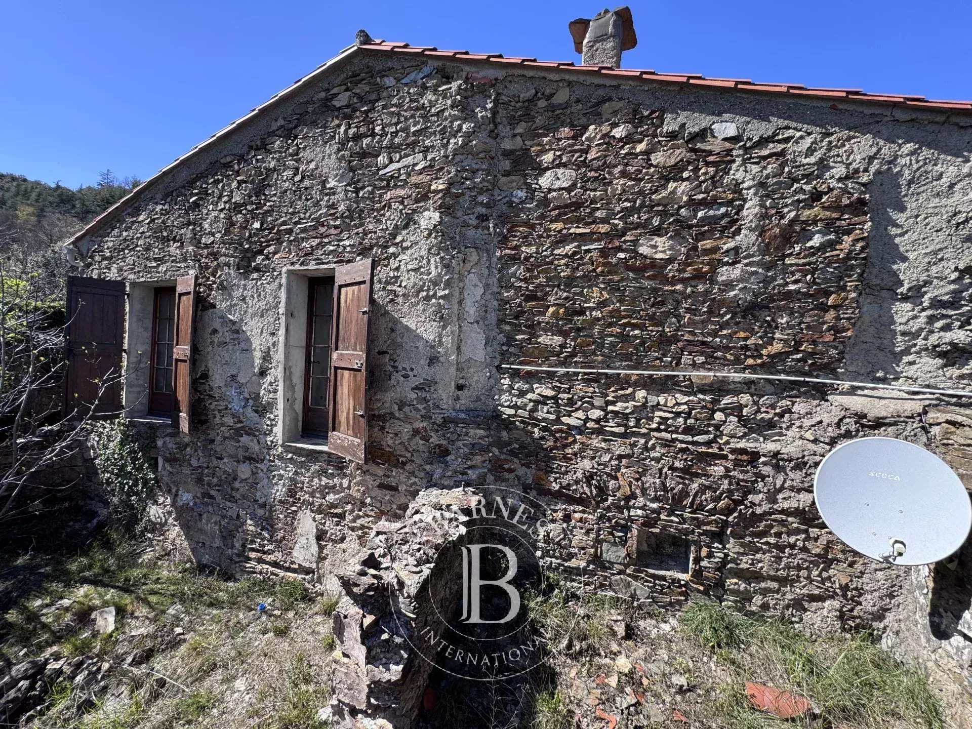 Ganges  - Mas 4 Pi&egrave;ces 2 Chambres - picture 2