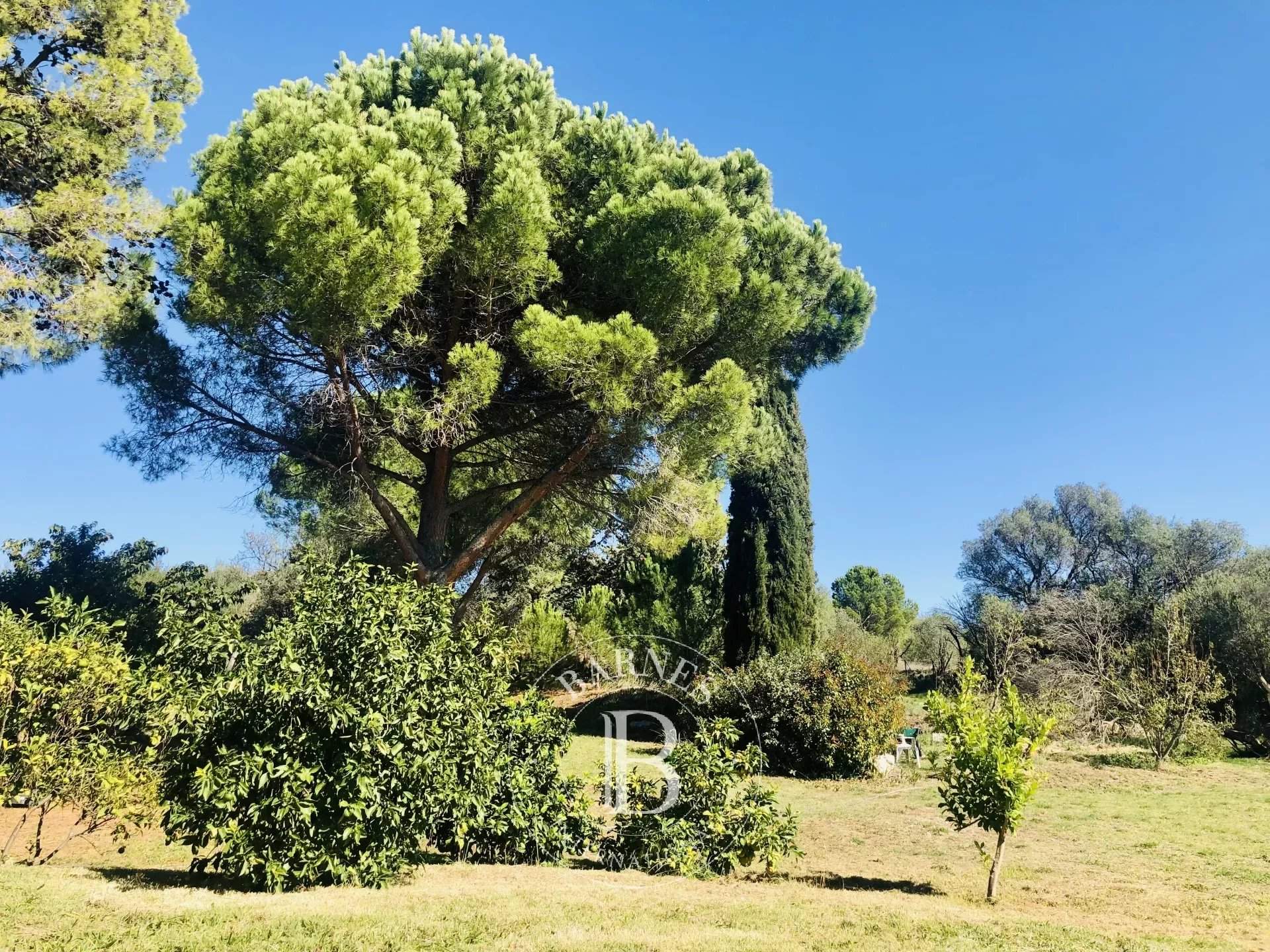 Bages  - Mas 4 Bedrooms - picture 12