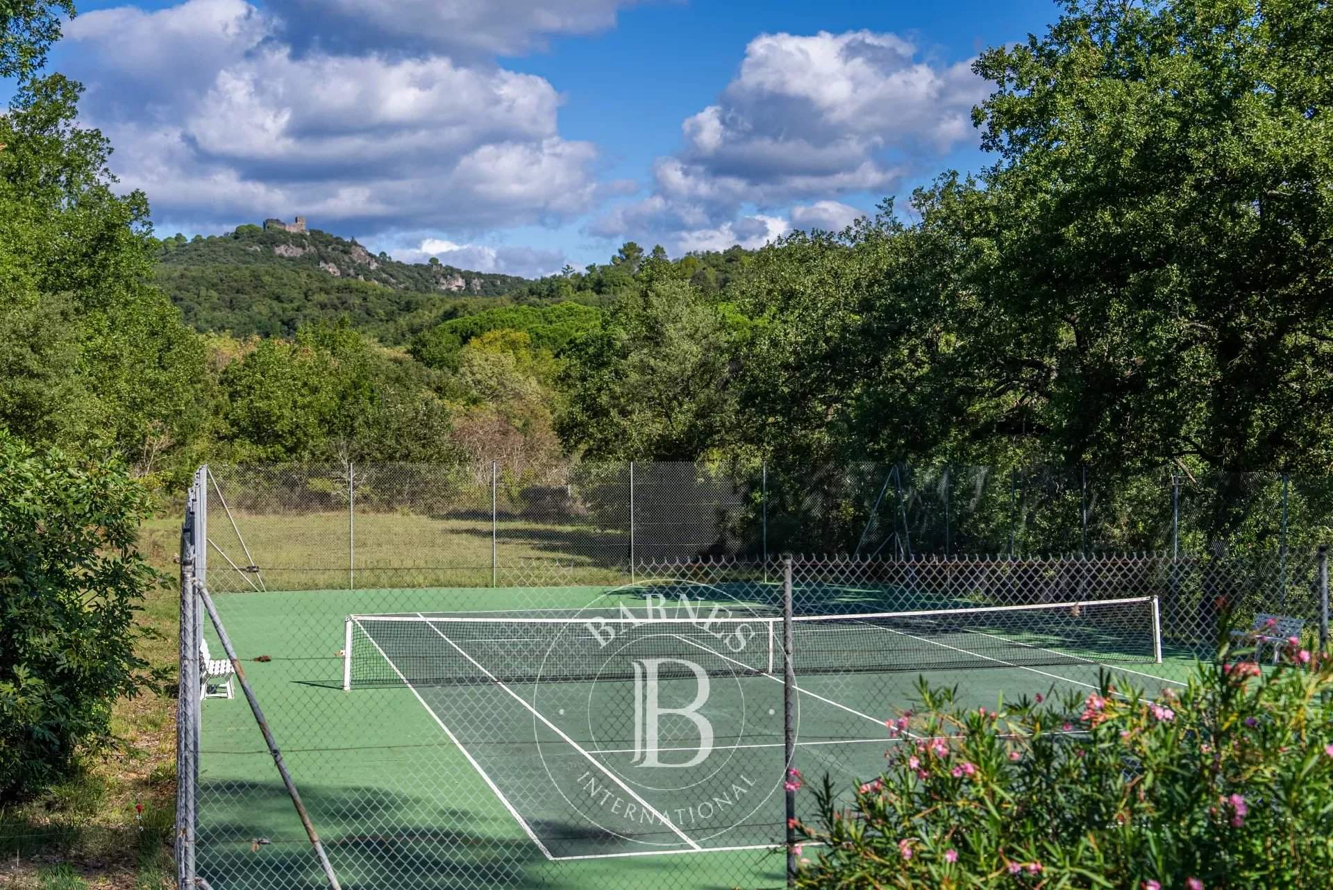 Sauve  - Mas 8 Pi&egrave;ces 7 Chambres - picture 7