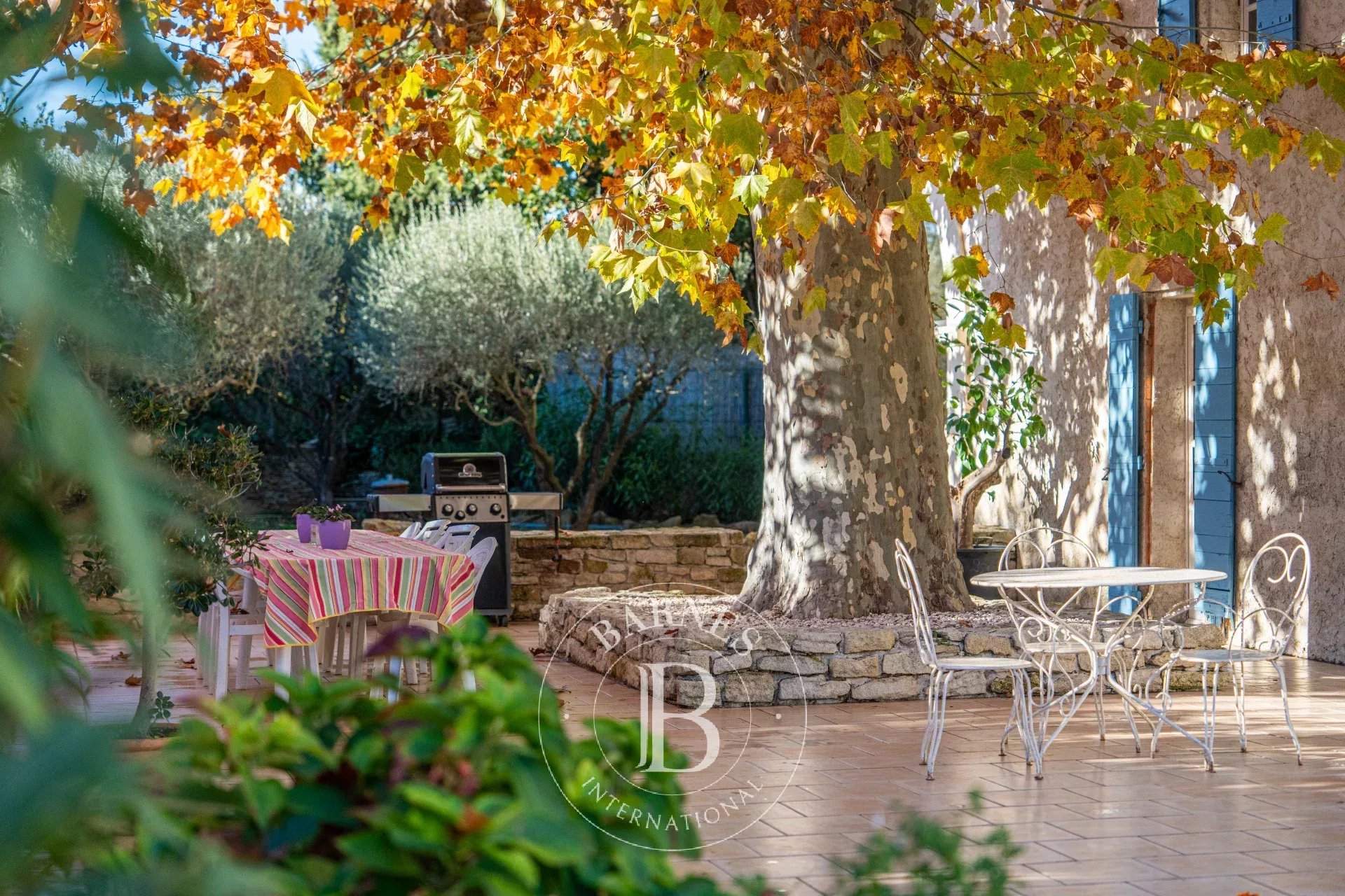 Uzès  - Mas 8 Bedrooms - picture 3