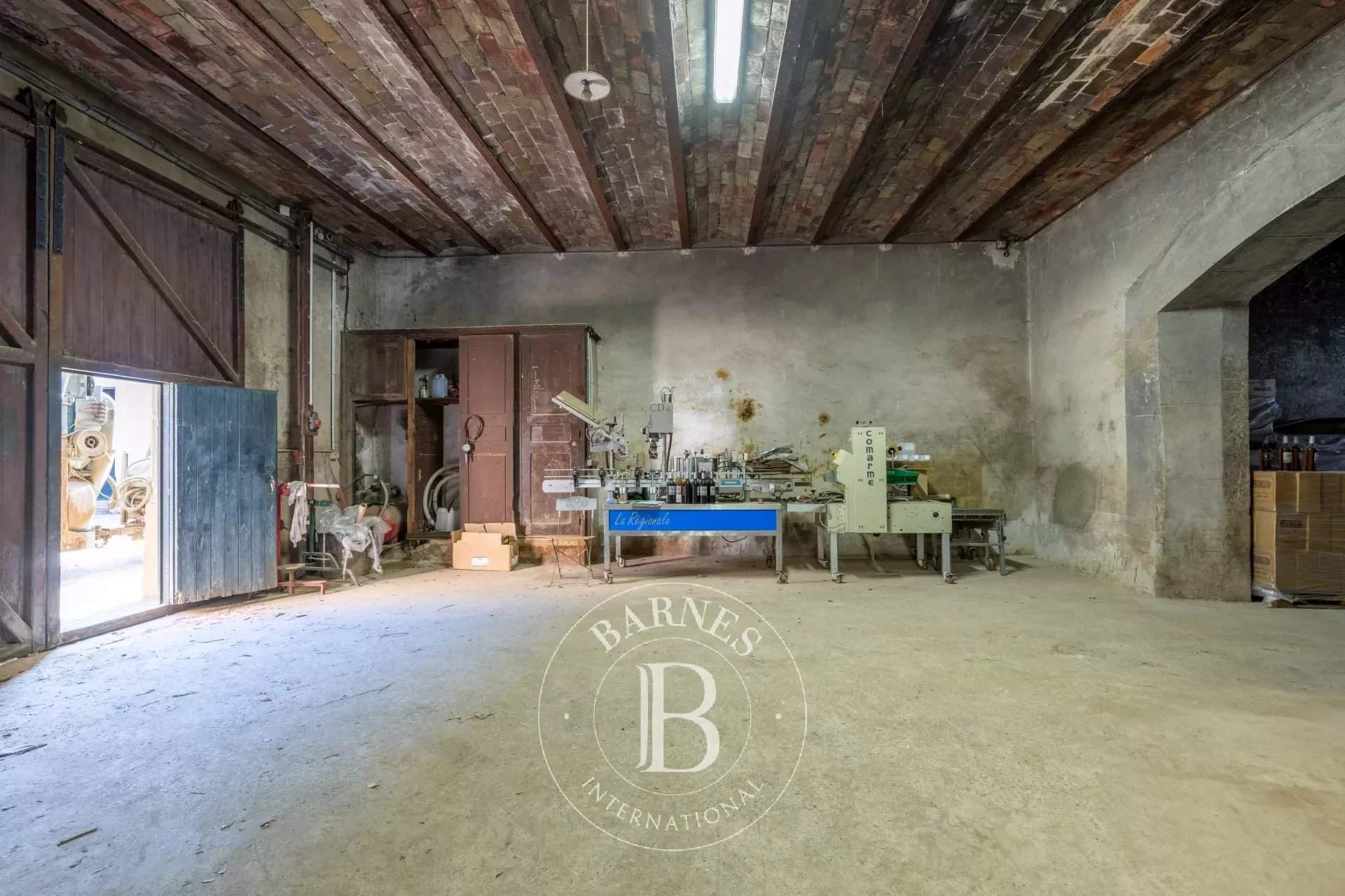 Capendu  - Propriété viticole 17 Pi&egrave;ces 12 Chambres - picture 9