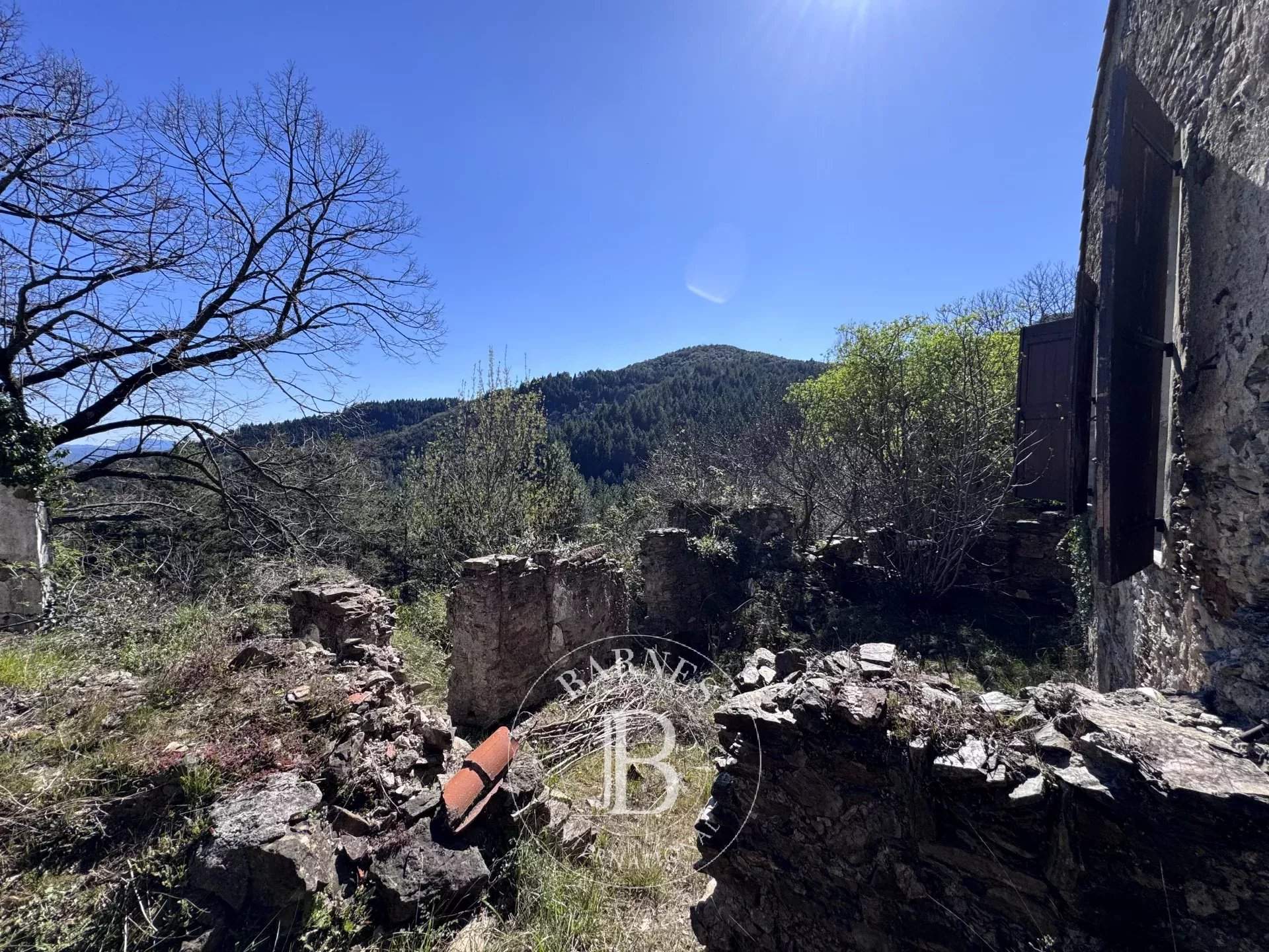 Ganges  - Mas 4 Pi&egrave;ces 2 Chambres - picture 16