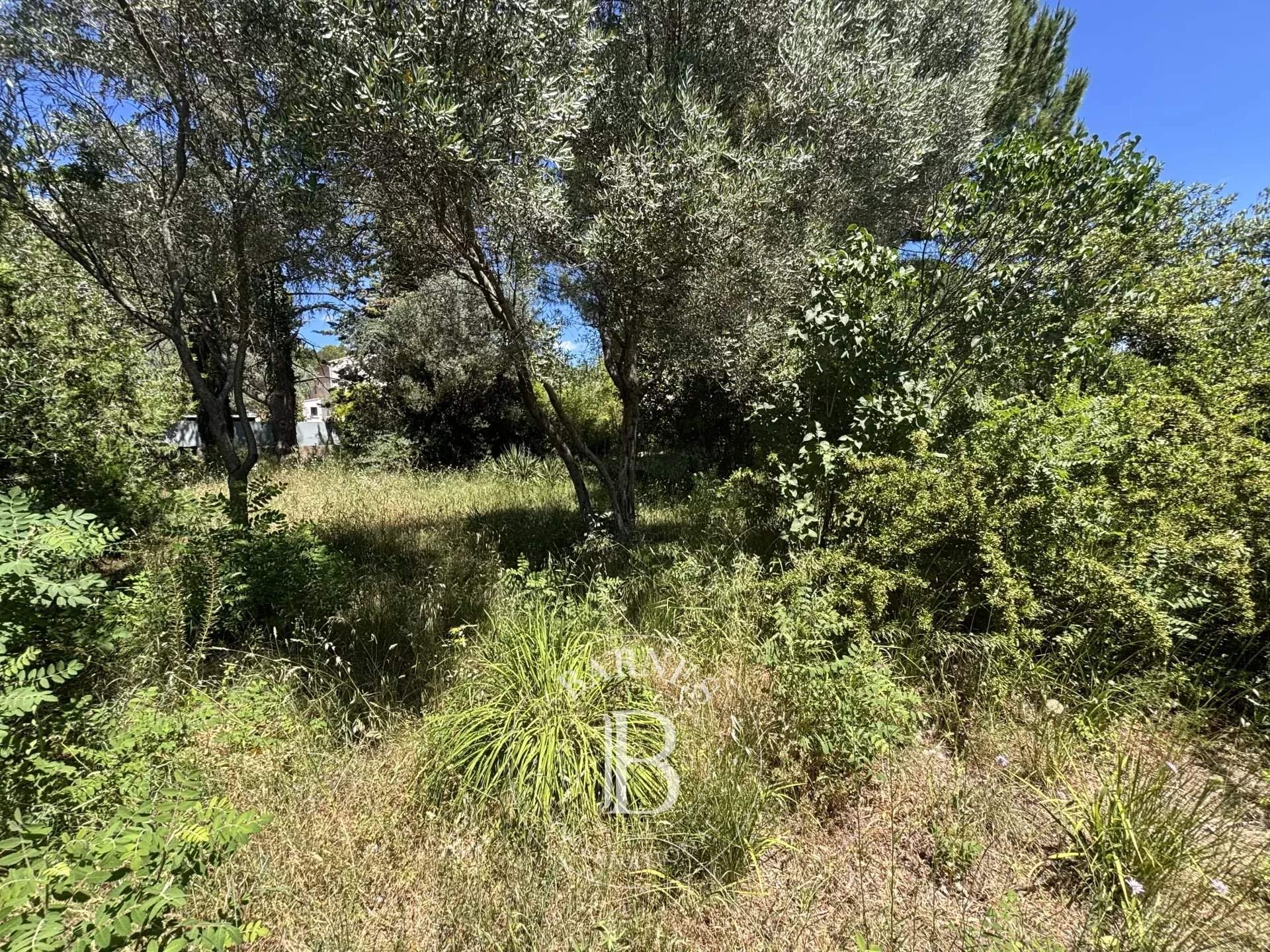Montpellier  - Terrain constructible  - picture 5
