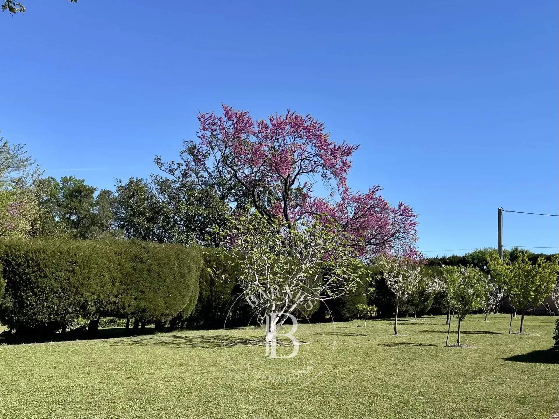 Toulouges  - Mas 7 Pi&egrave;ces 5 Chambres - picture 17