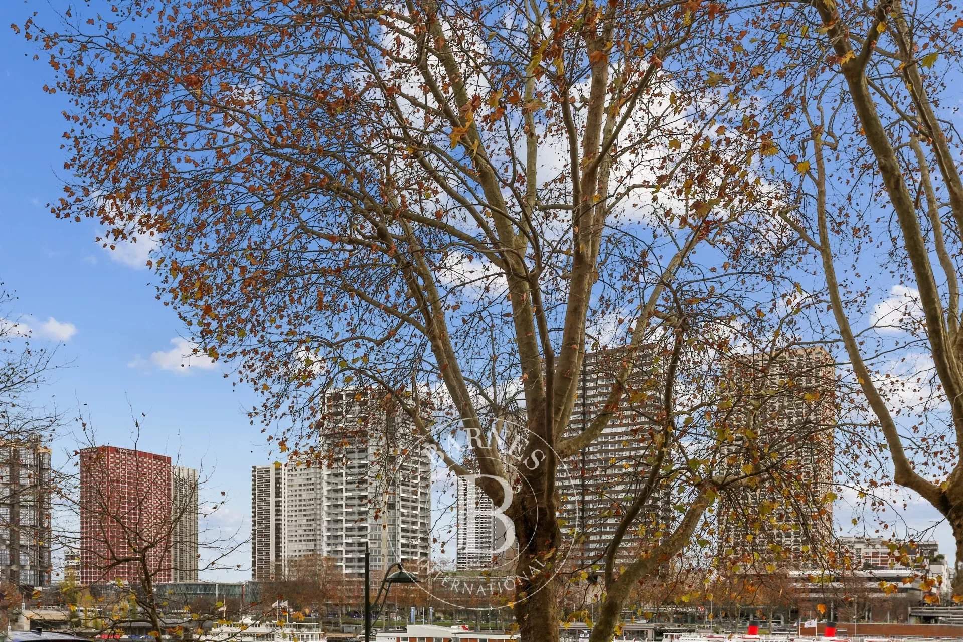 Paris  - Apartment 1 Bedroom - picture 5