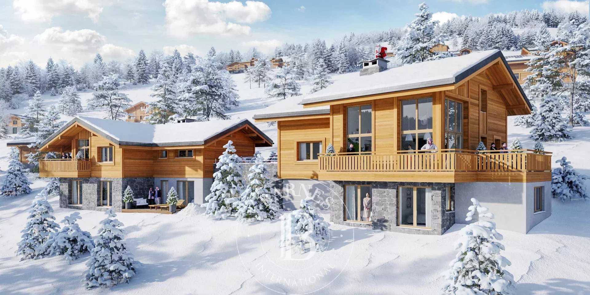 Chalet Les Gets  -  ref 85605133 (picture 1)