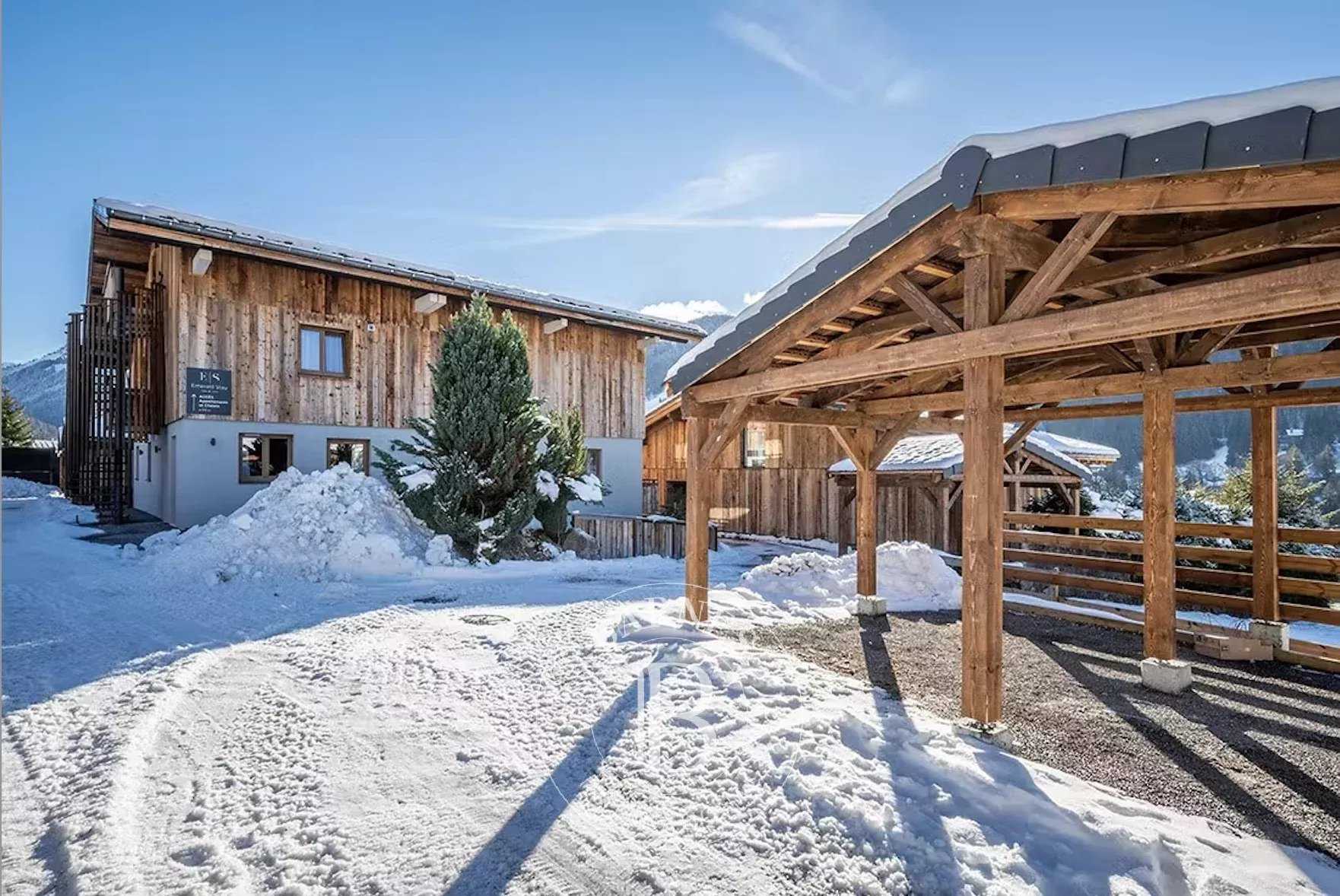 Morzine (Montriond) - Appartements du T3 au T6 entièrement meublés et équipés Montriond  -  ref 8071090 (picture 2)