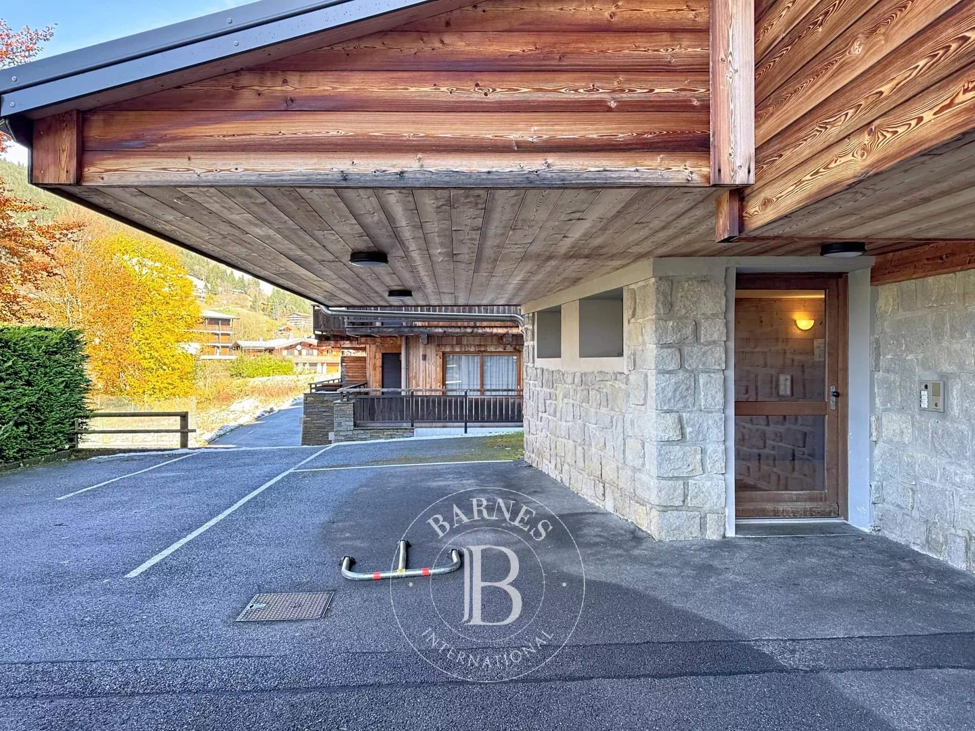 Amapa - Les Gets - ski in/out picture 19