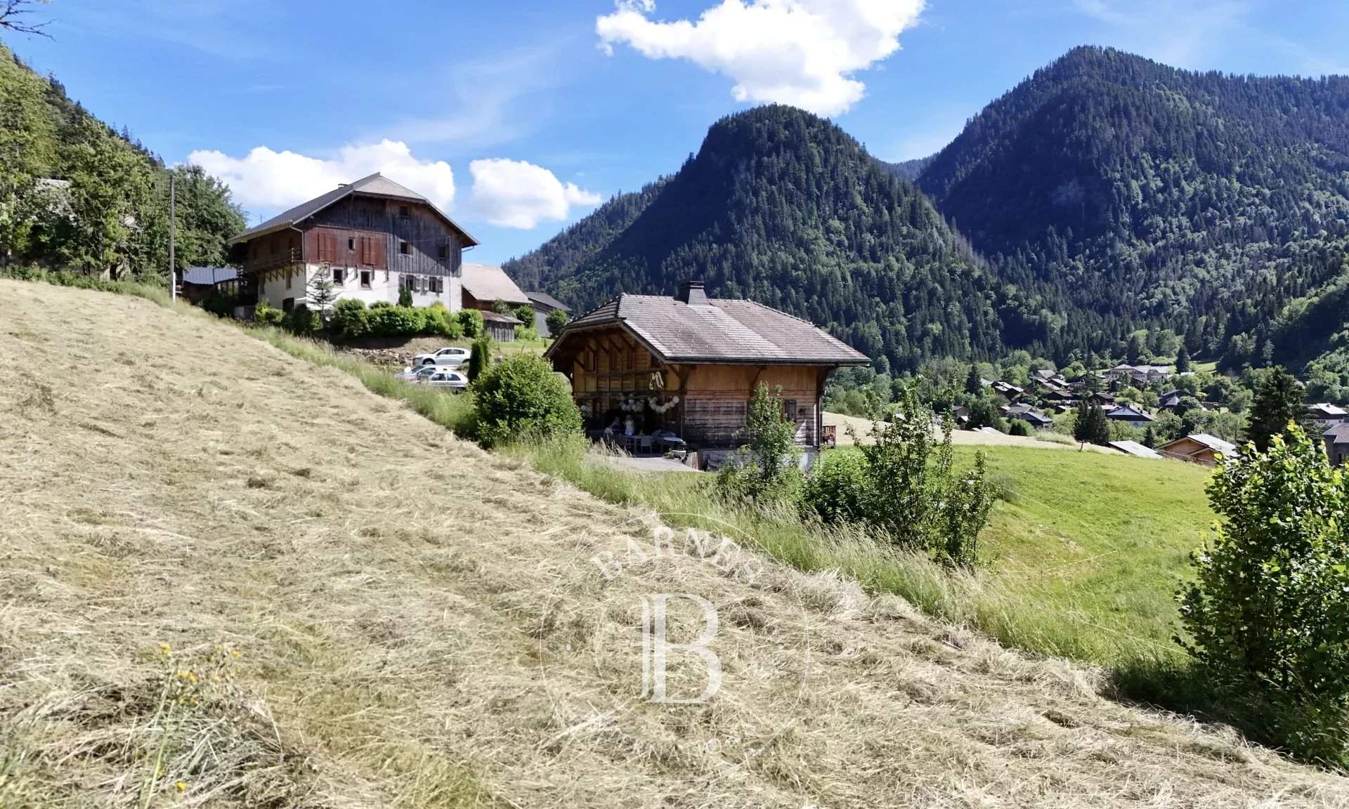 Saint-Jean-d'Aulps  - Terrain constructible  - picture 5
