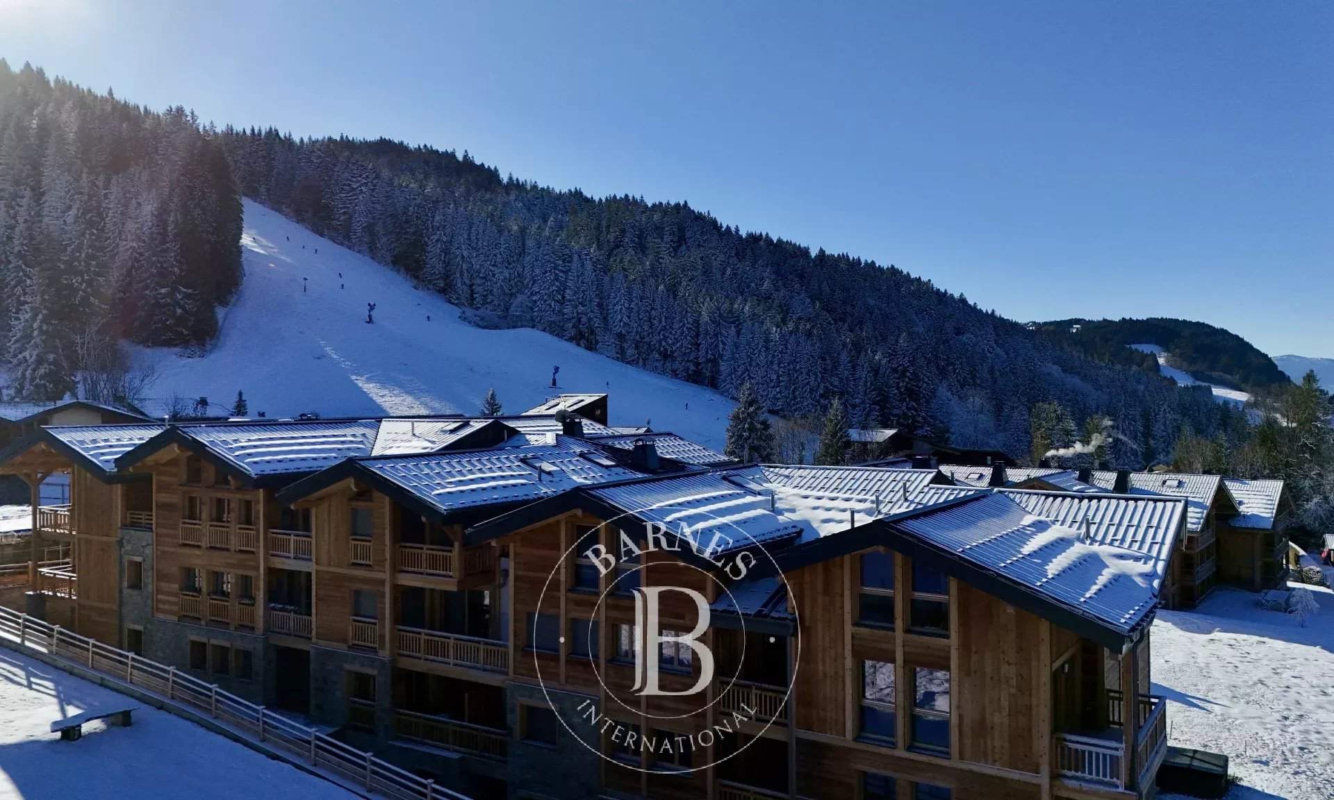 Les Gets  - Apartment 2 Bedrooms - picture 16