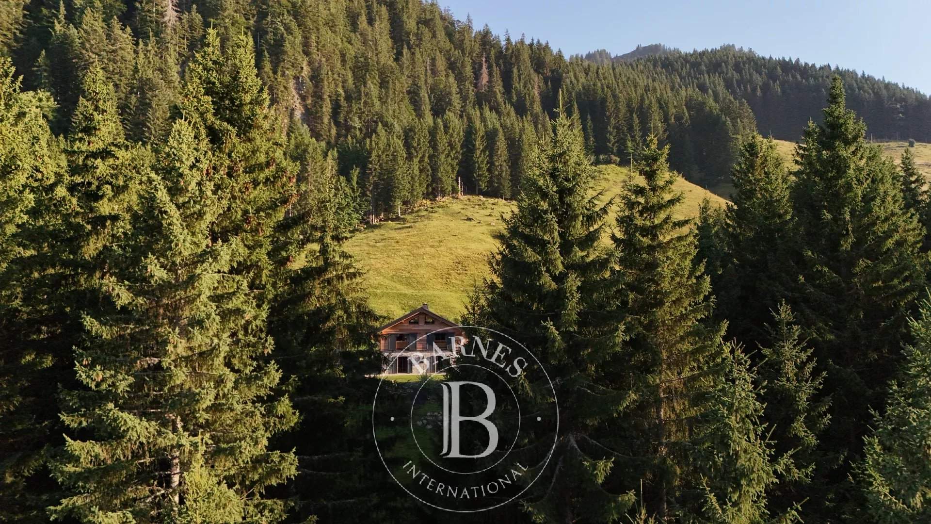 Essert-Romand  - Chalet 2 Bedrooms - picture 20