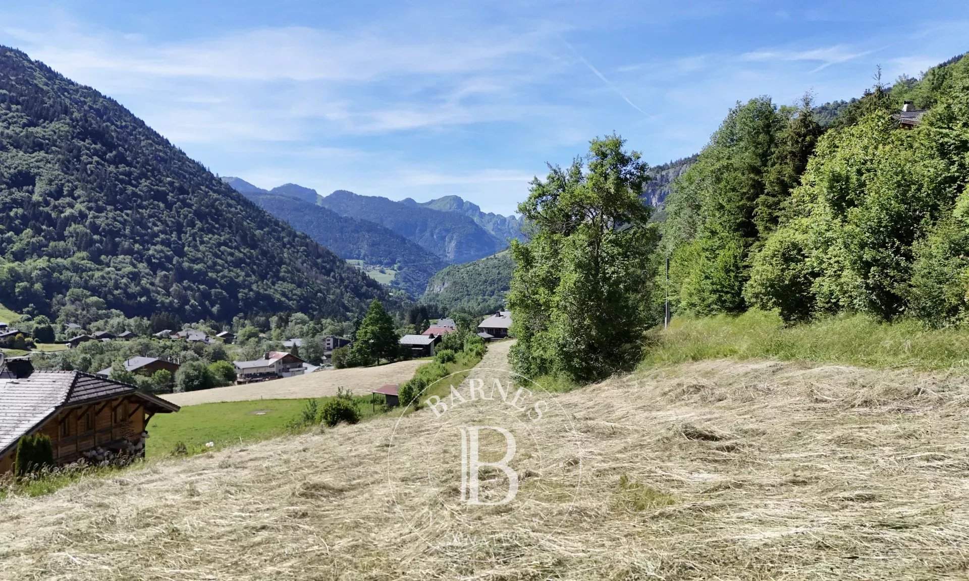 Saint-Jean-d'Aulps  - Terrain constructible  - picture 6