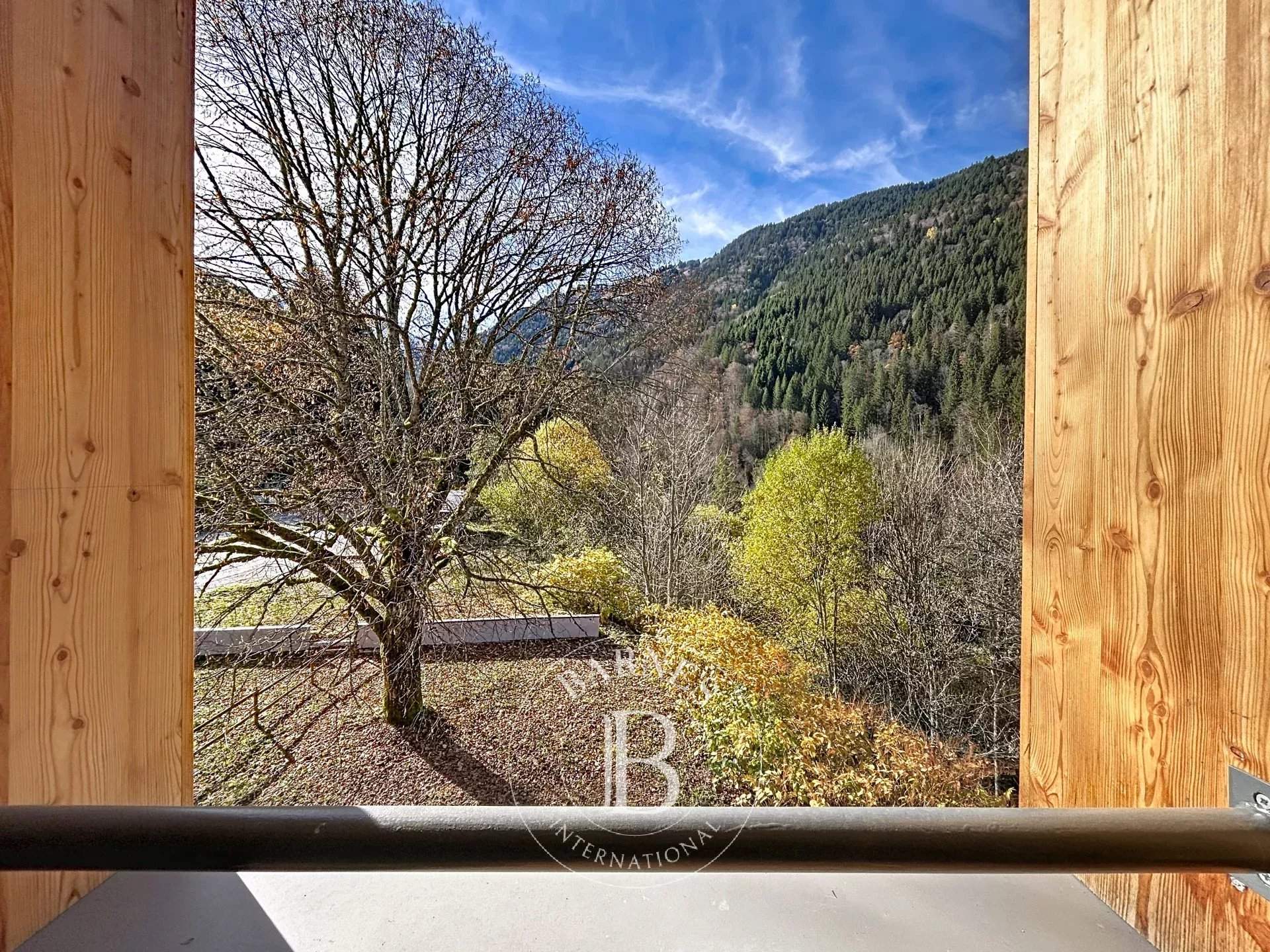 Saint-Jean-d'Aulps  - Apartment 2 Bedrooms - picture 17