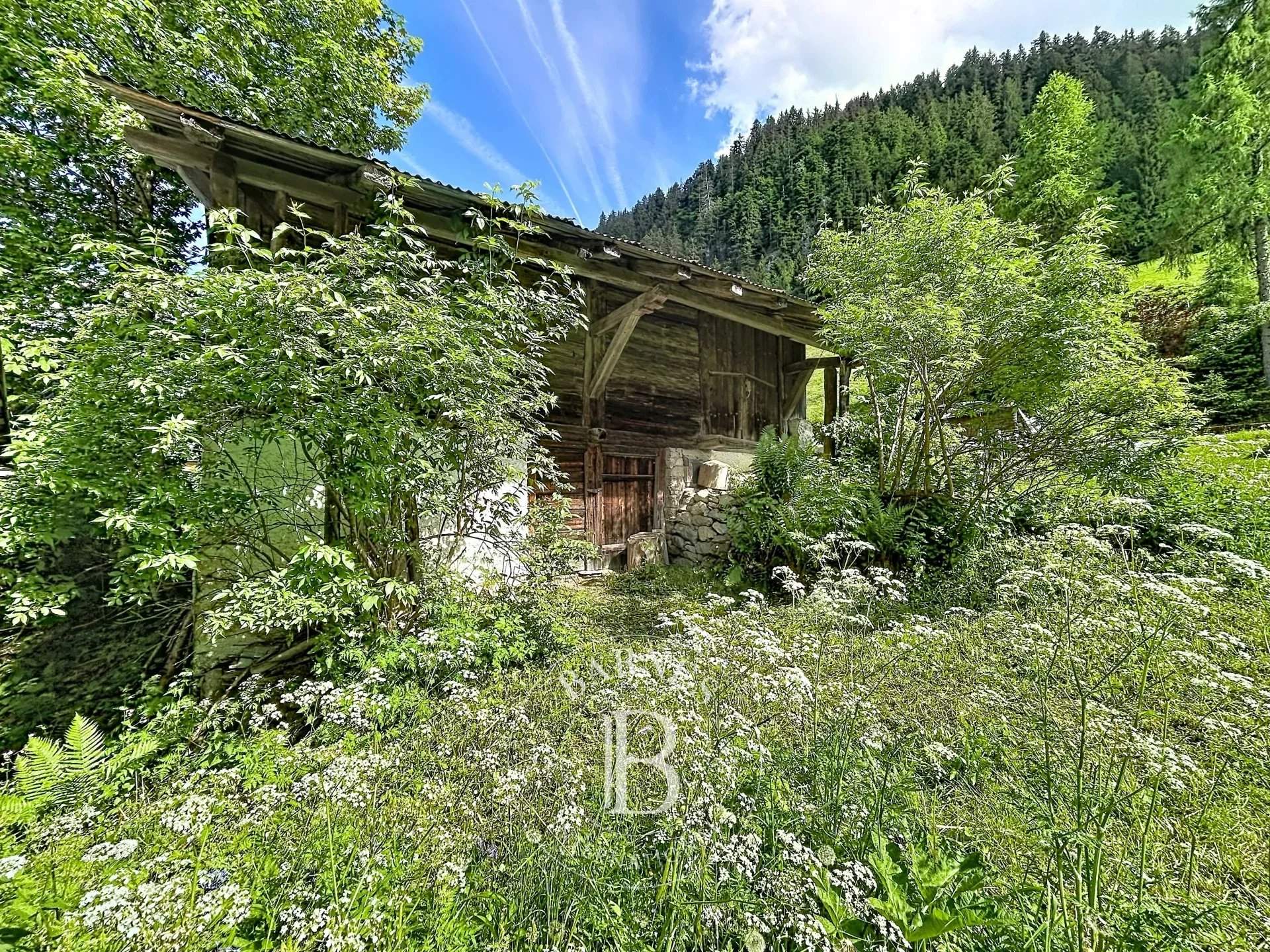 Essert-Romand  - Chalet 4 Pi&egrave;ces, 1 Chambre - picture 6