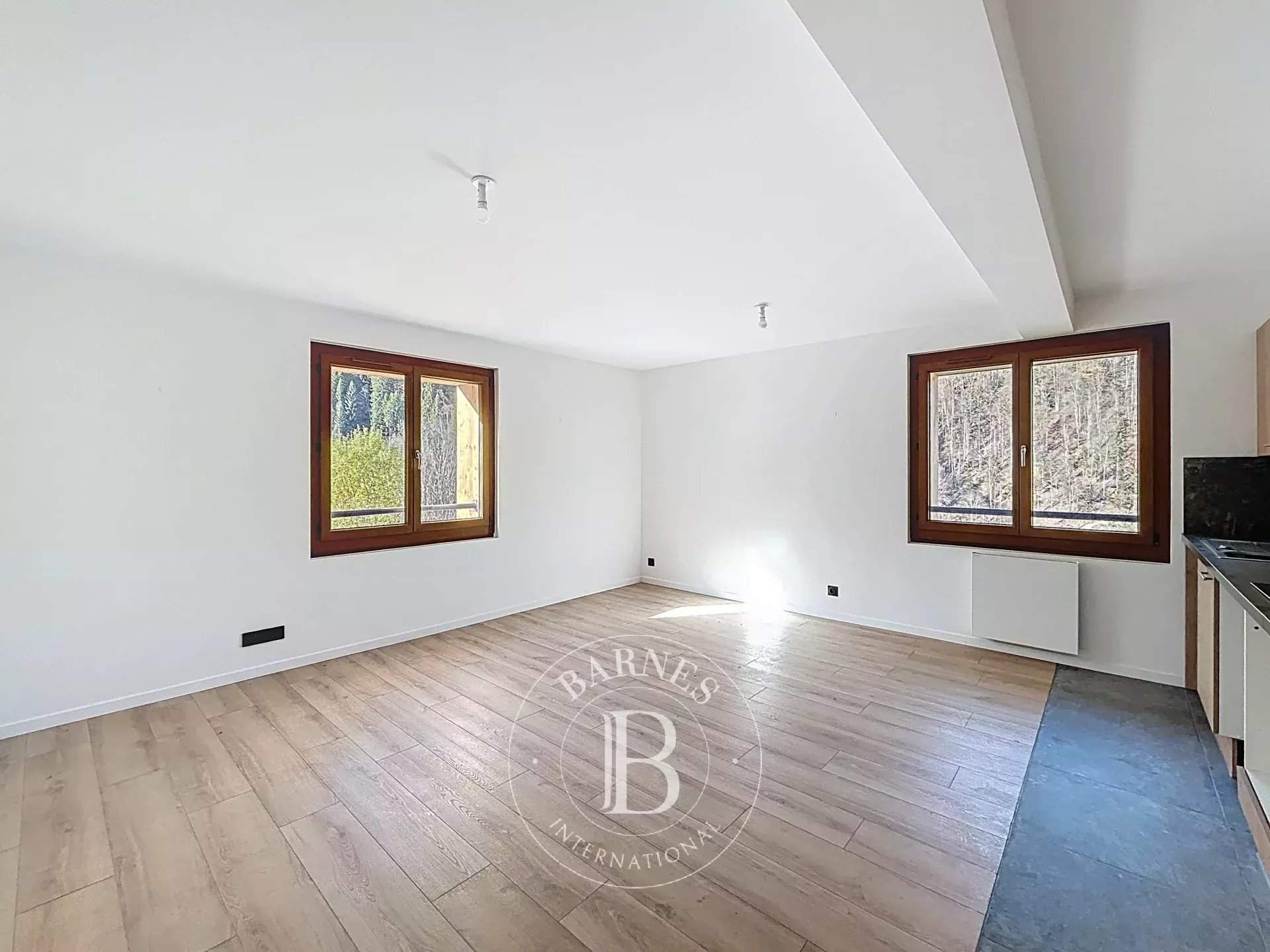 Saint-Jean-d'Aulps  - Apartment 2 Bedrooms - picture 3