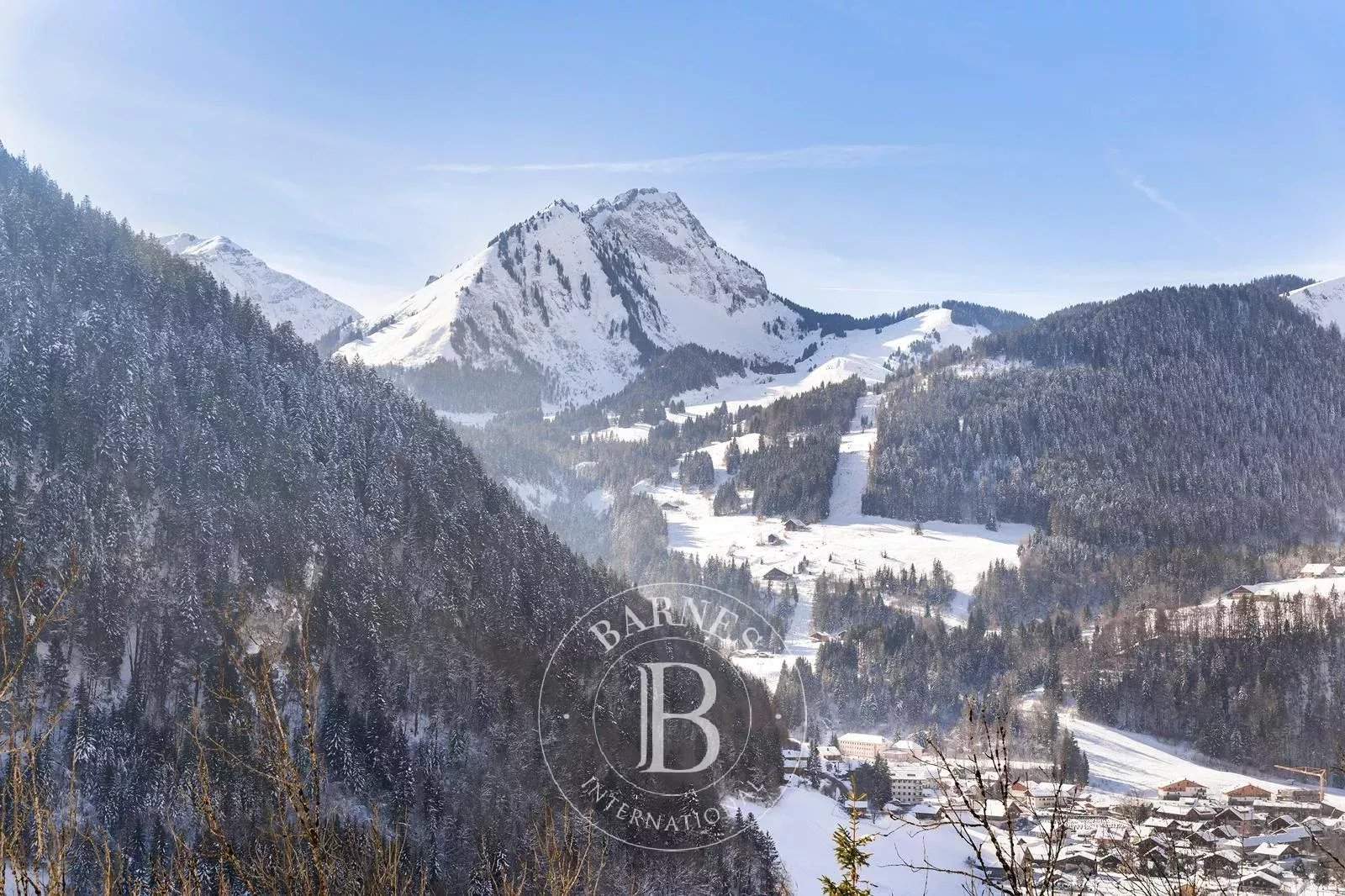 Abondance  - Chalet 6 Bedrooms - picture 11