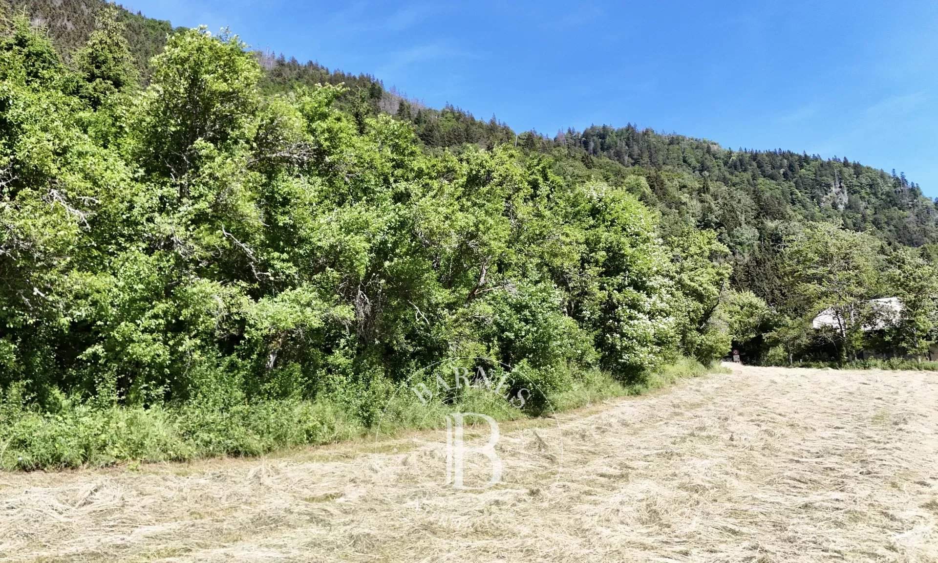 Saint-Jean-d'Aulps  - Terrain constructible  - picture 4