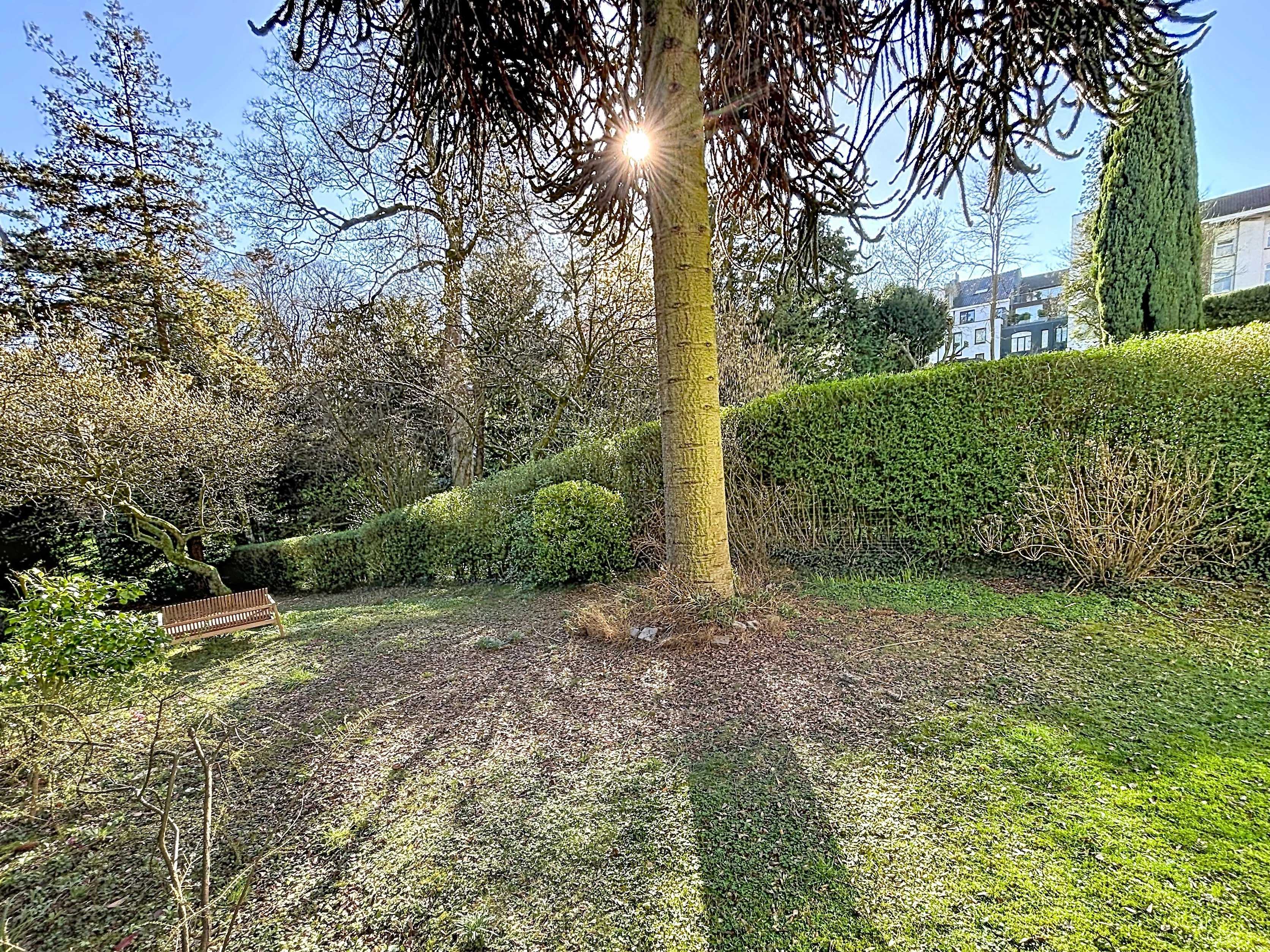 Uccle  - Maison 19 Pi&egrave;ces 7 Chambres