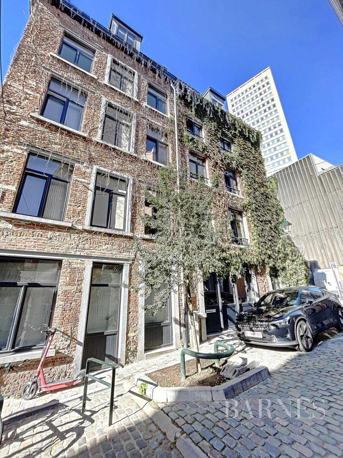 Immeuble Bruxelles  -  ref 7458873 (picture 2)