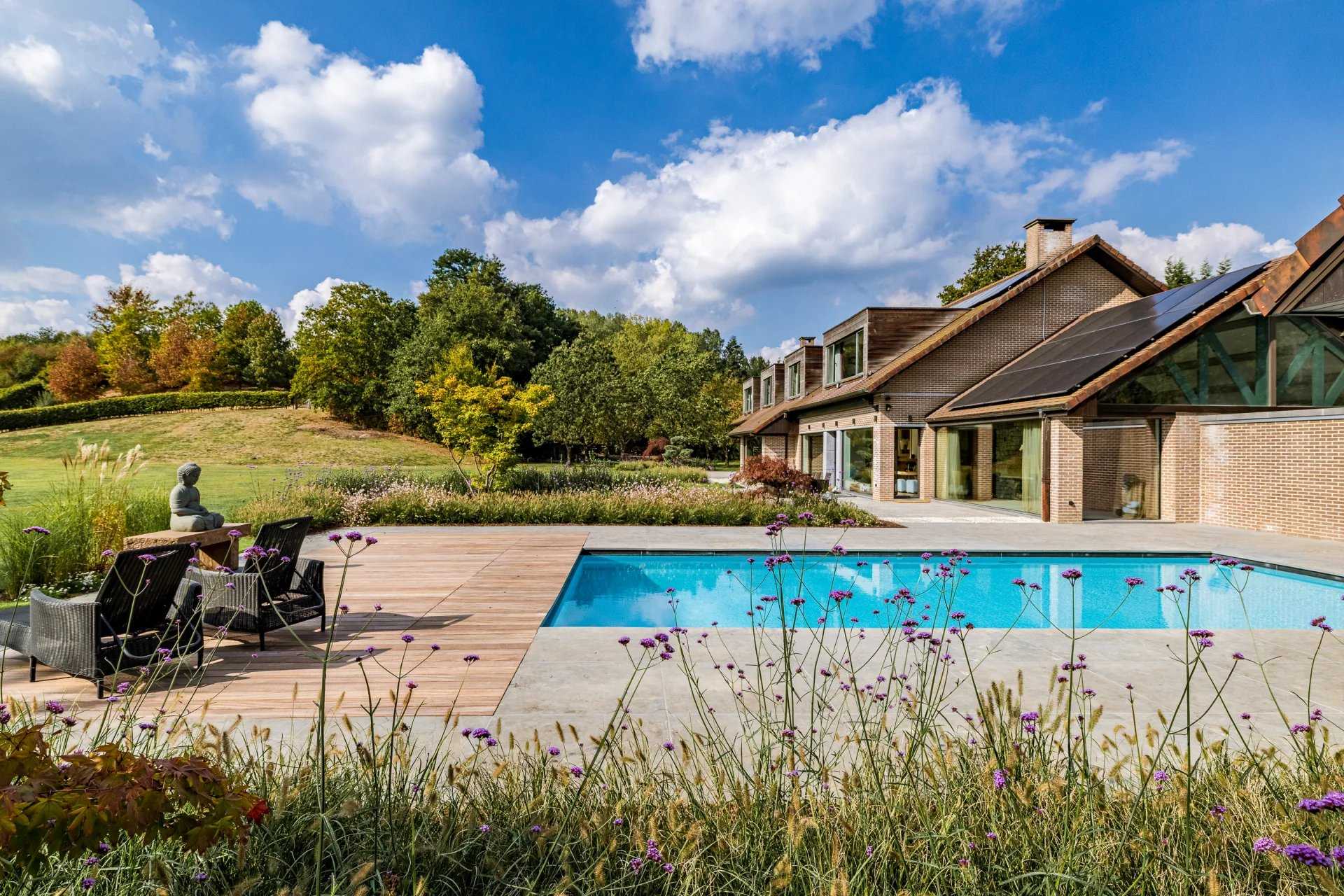 Domaine équestre Lasne  -  ref 86337619 (picture 2)