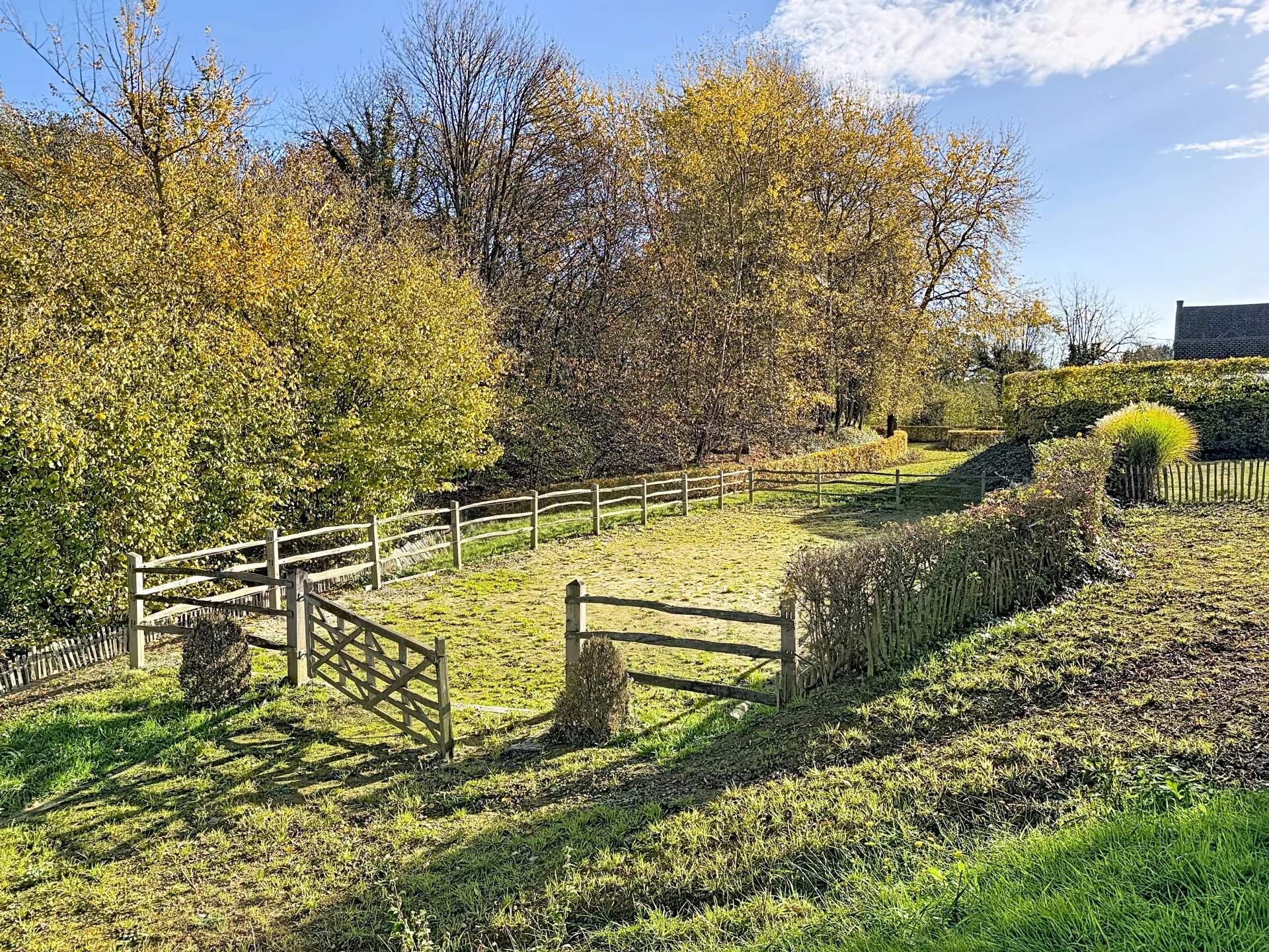 Seneffe  - Equestrian estate 5 Bedrooms - picture 11