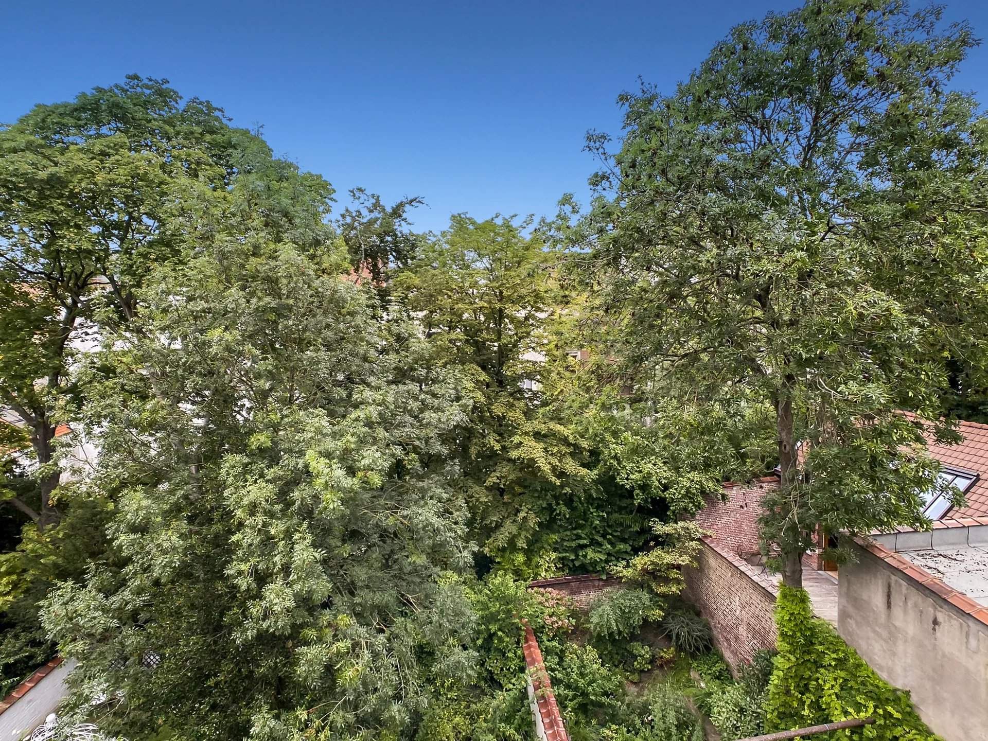 Ixelles  - Maison  - picture 11