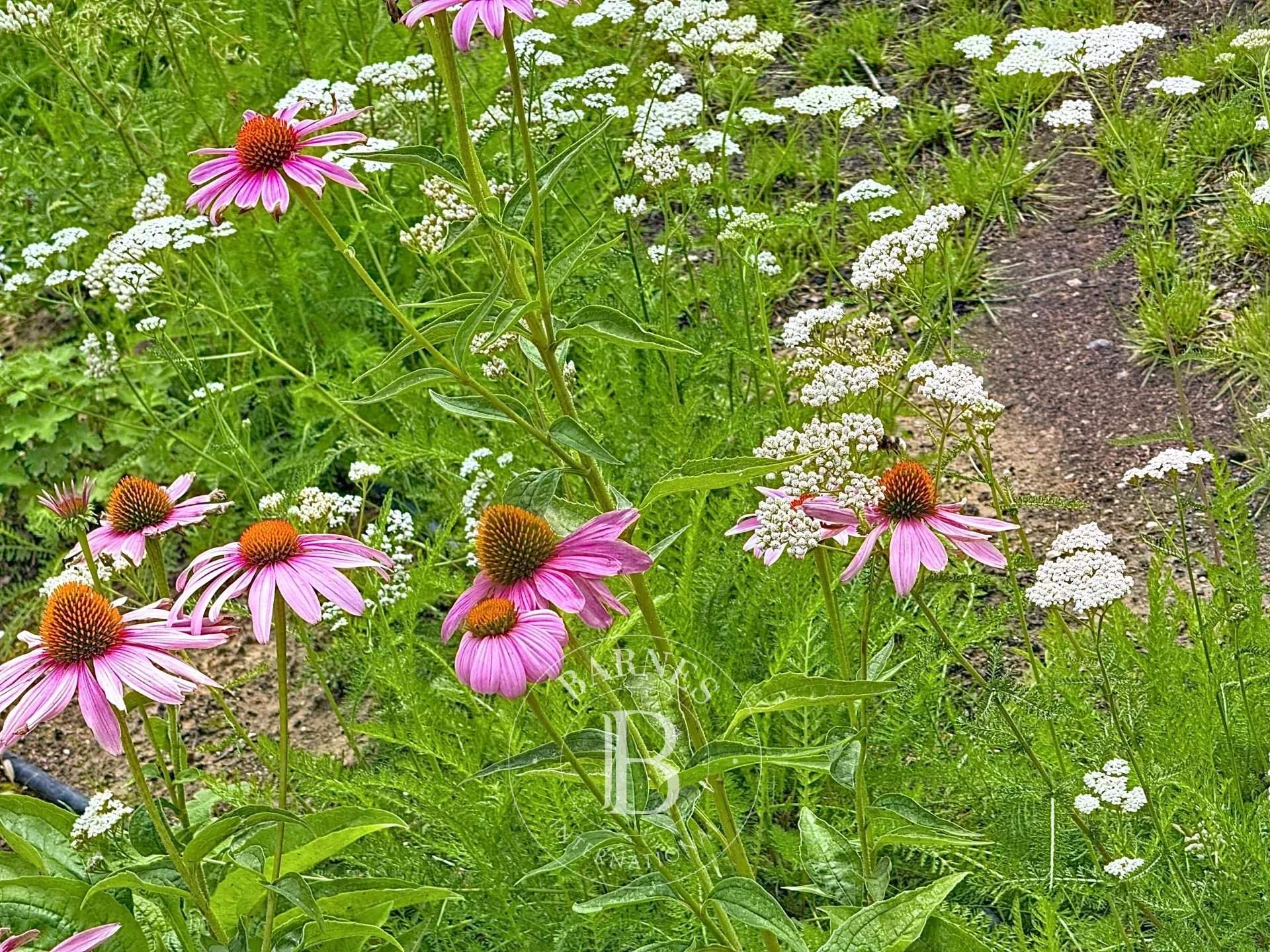 Uccle  - Apartment 2 Bedrooms - picture 19