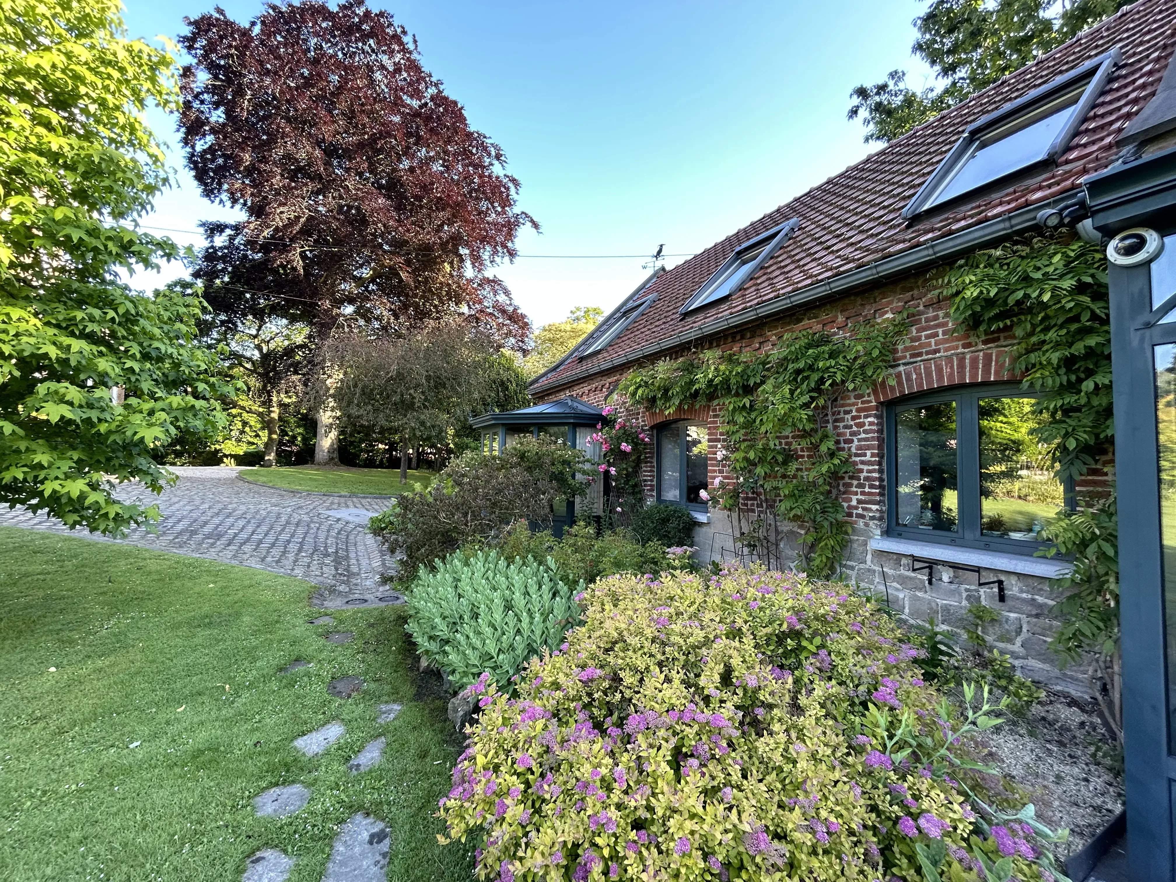 Jurbise  - Manoir  - picture 13
