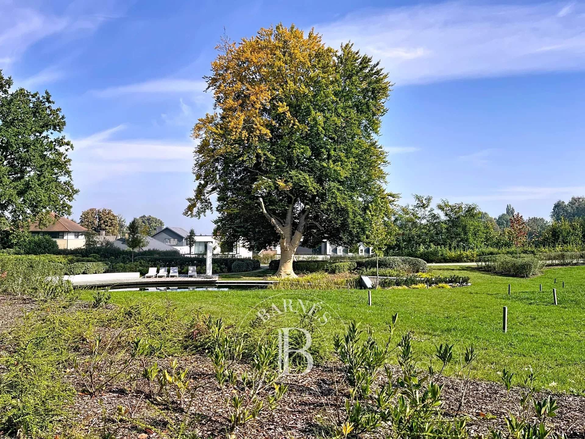 Dilbeek  - Apartment 2 Bedrooms - picture 14