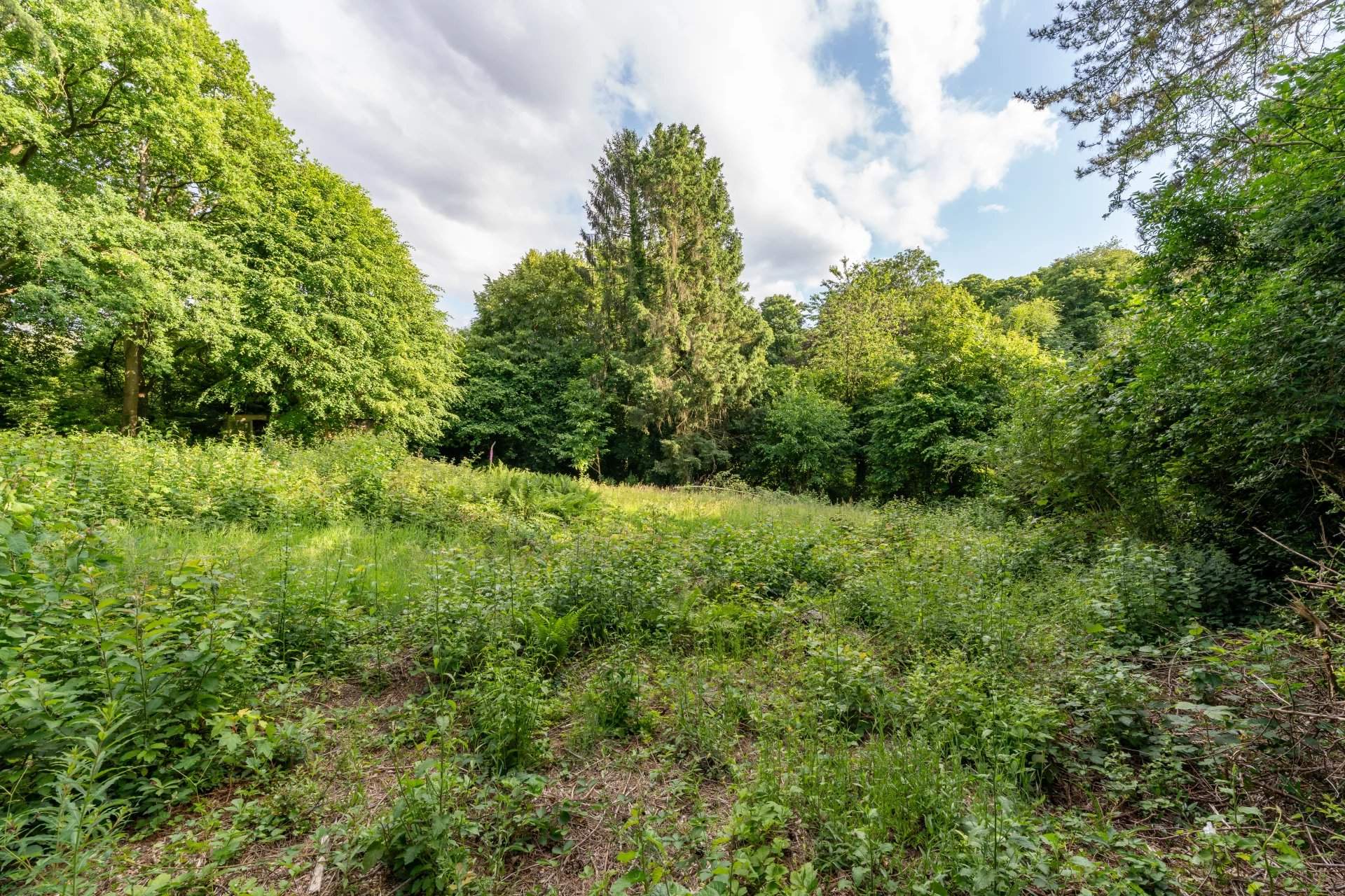 Uccle  - Terrain constructible  - picture 9