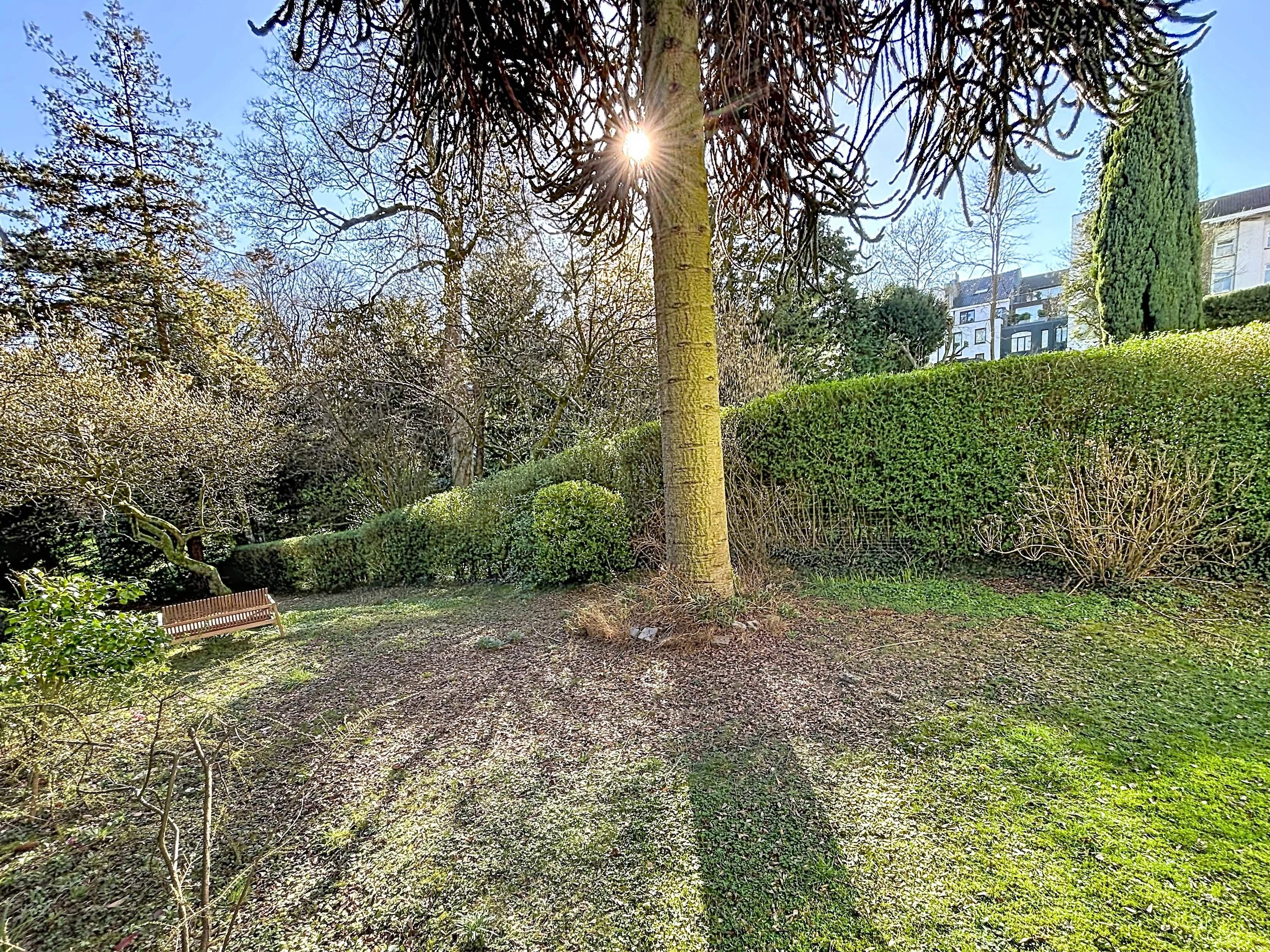 Uccle  - Maison 19 Pi&egrave;ces 7 Chambres - picture 4