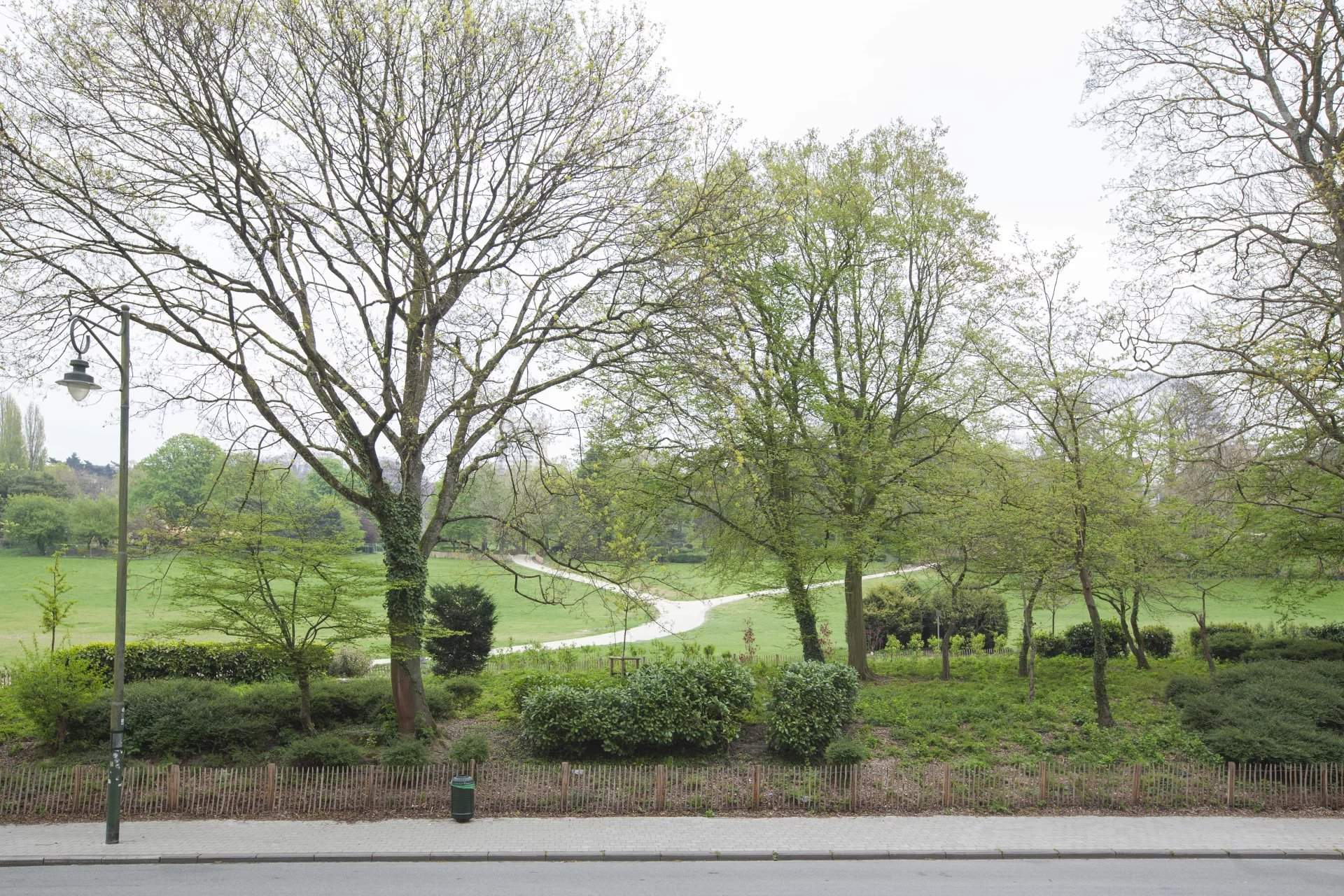 Forest  - Apartment 2 Bedrooms - picture 9