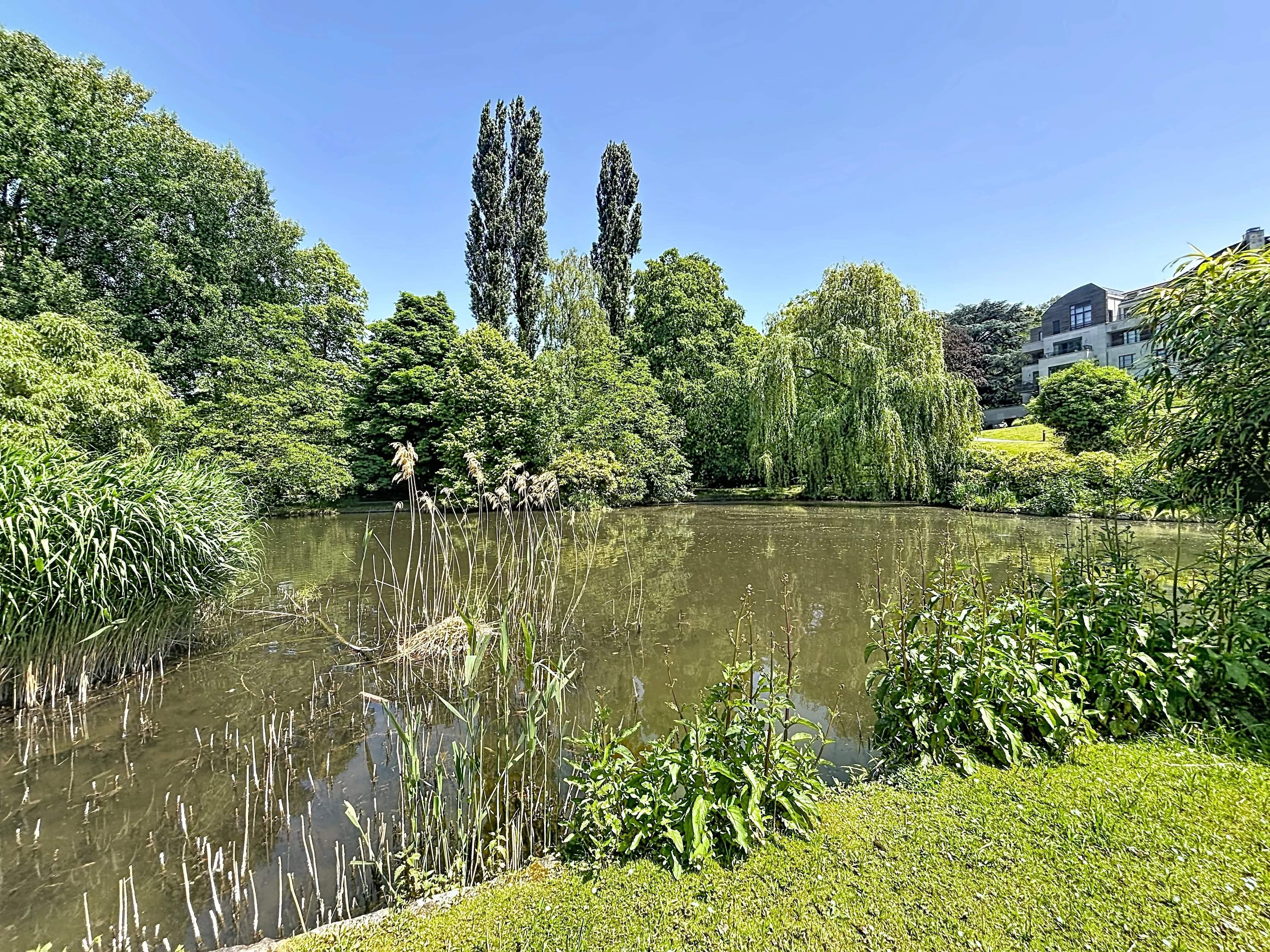 Woluwe-Saint-Pierre  - Maison  - picture 16