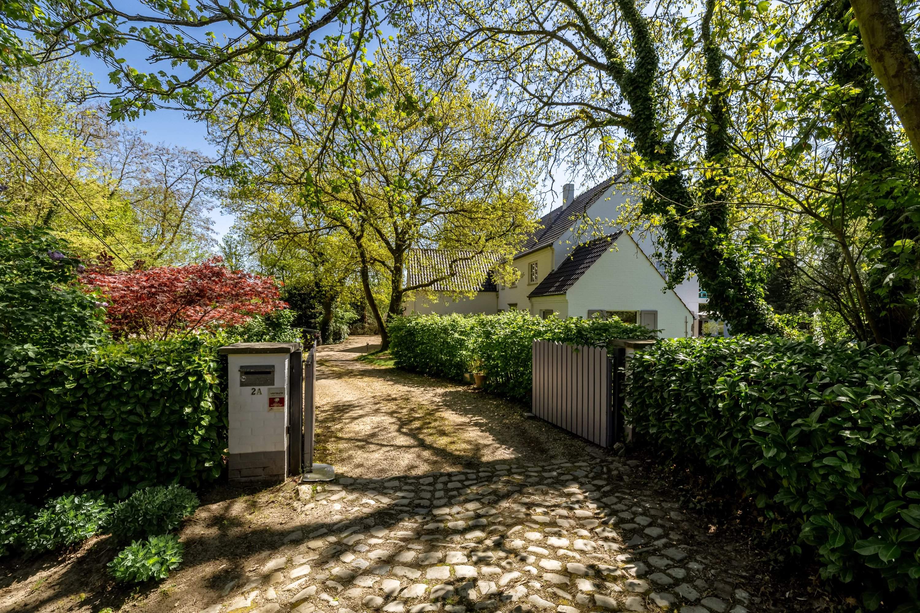 Lasne  - Villa  - picture 2