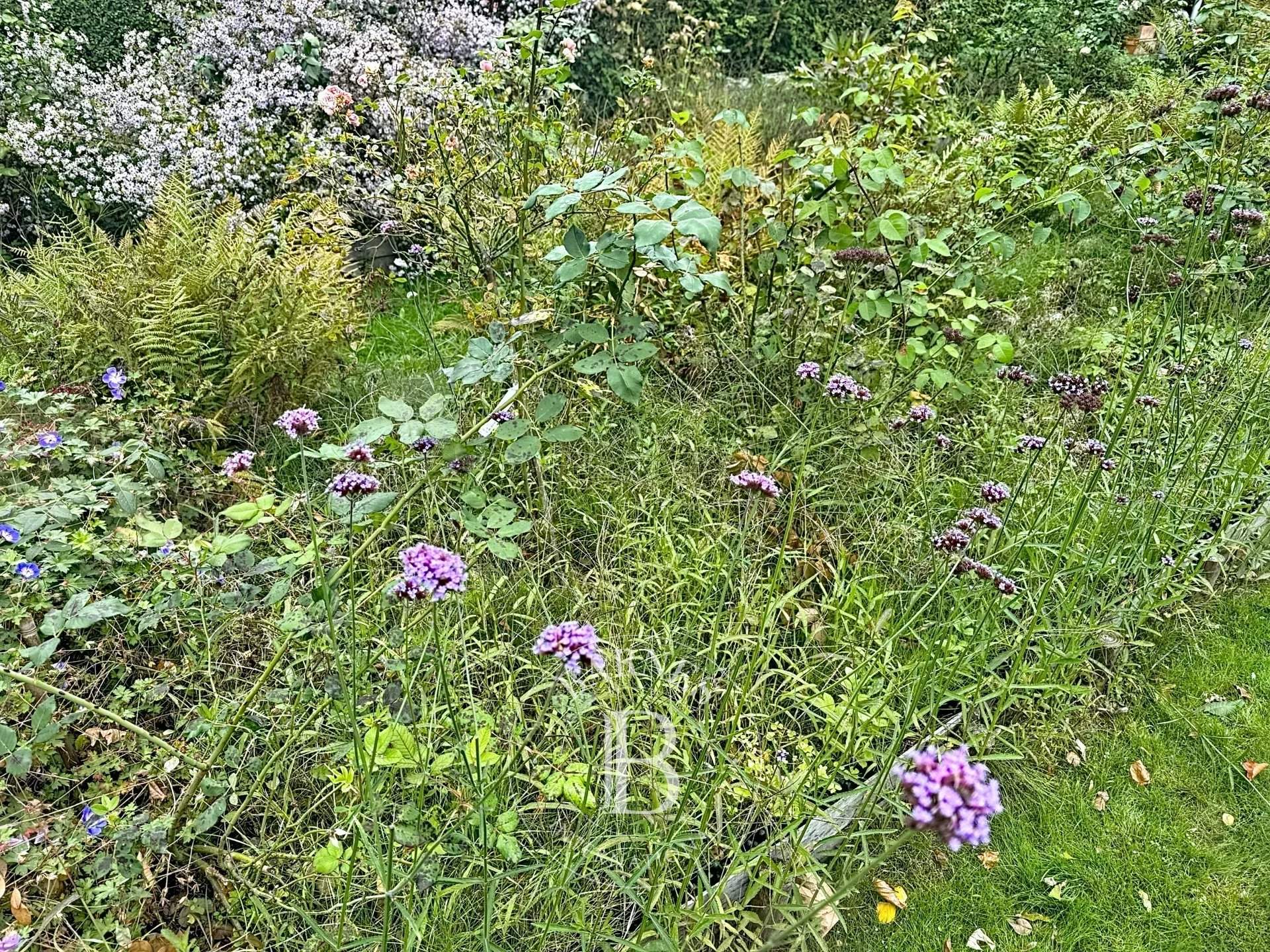 Uccle  - Maison 30 Pi&egrave;ces 5 Chambres - picture 7