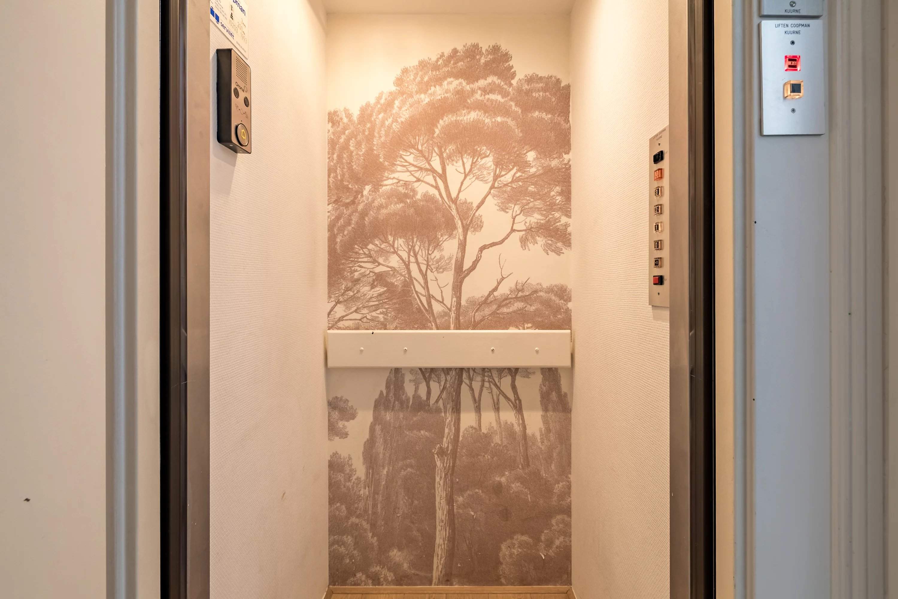 Ixelles  - Maison  - picture 19