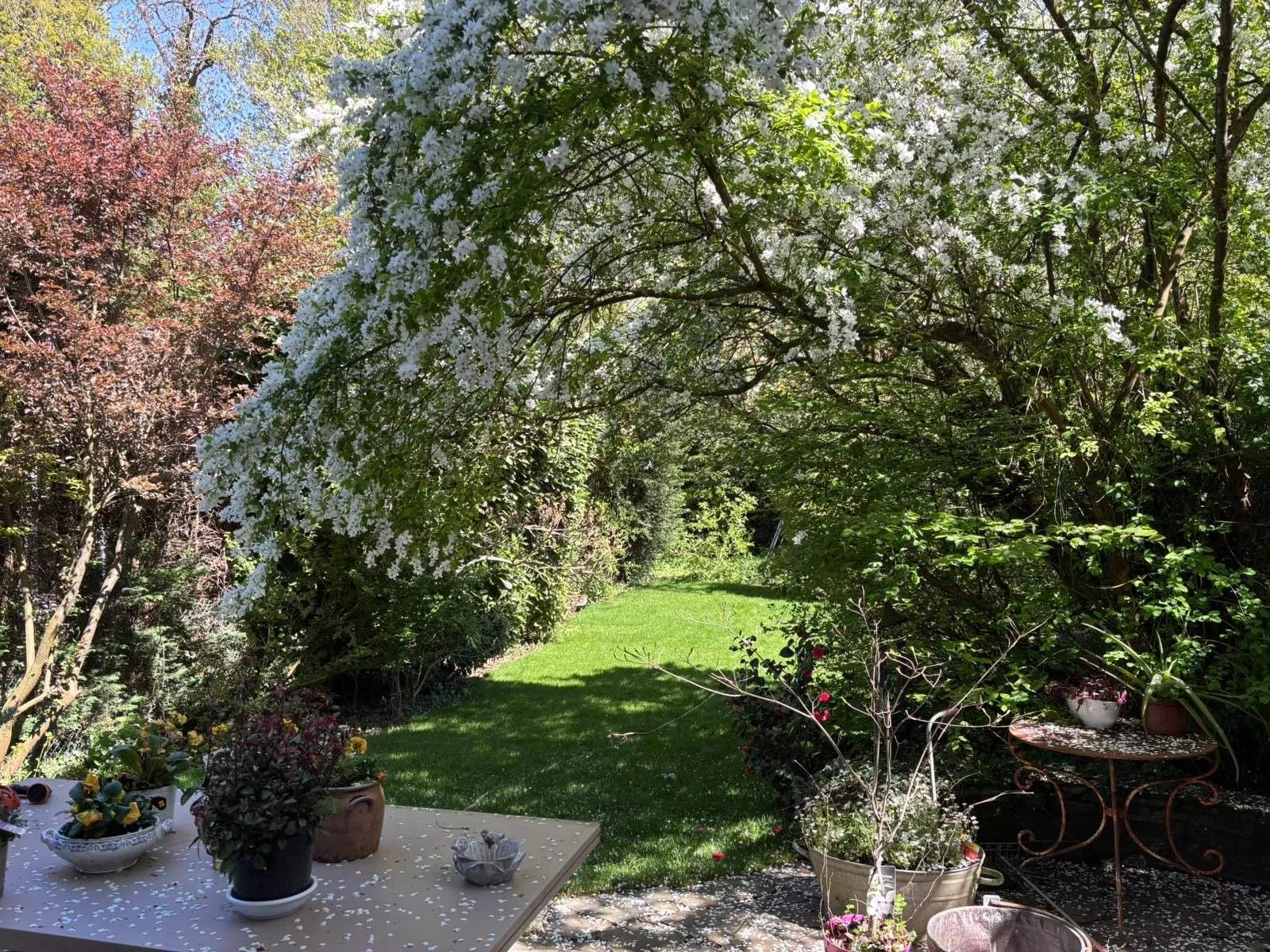 Uccle  - Maison  - picture 5