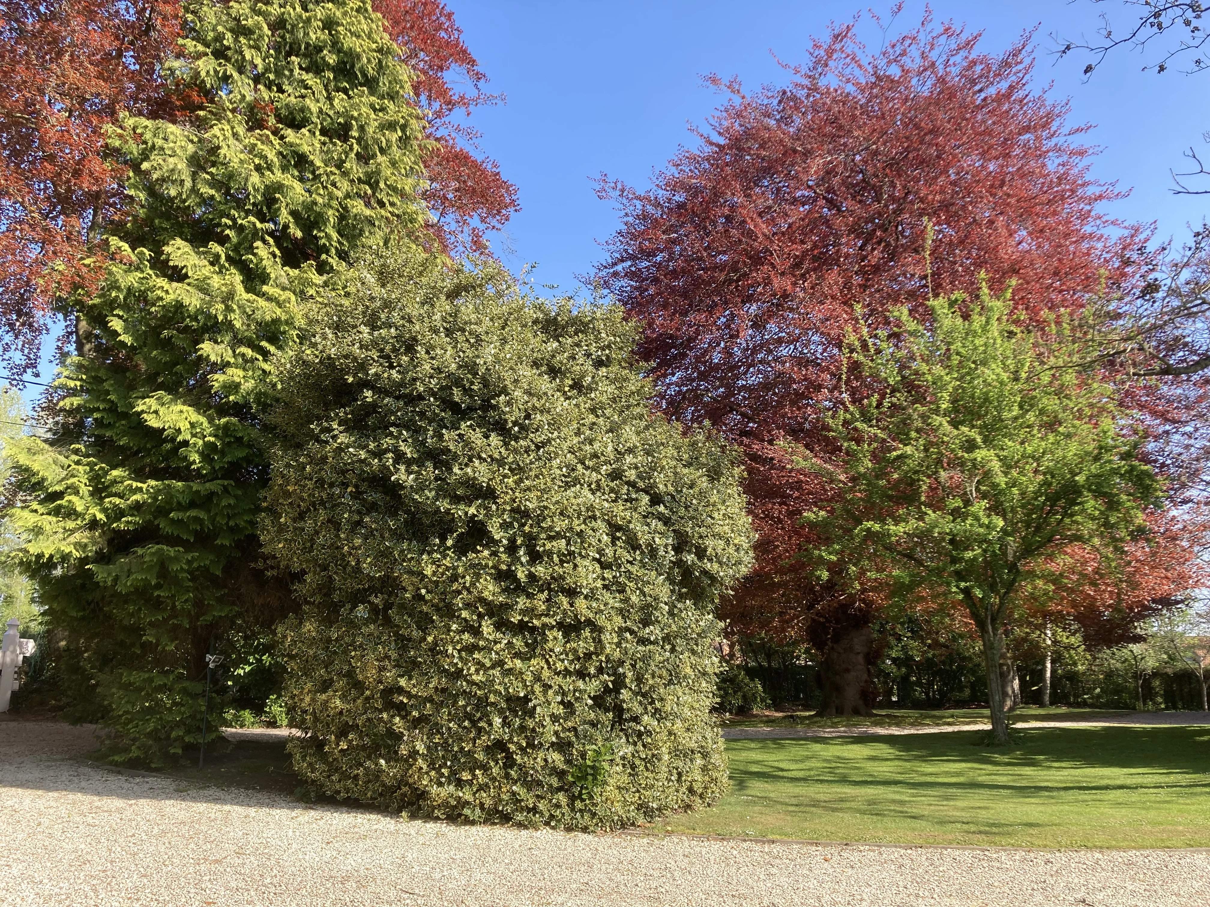 Jurbise  - Manoir  - picture 17