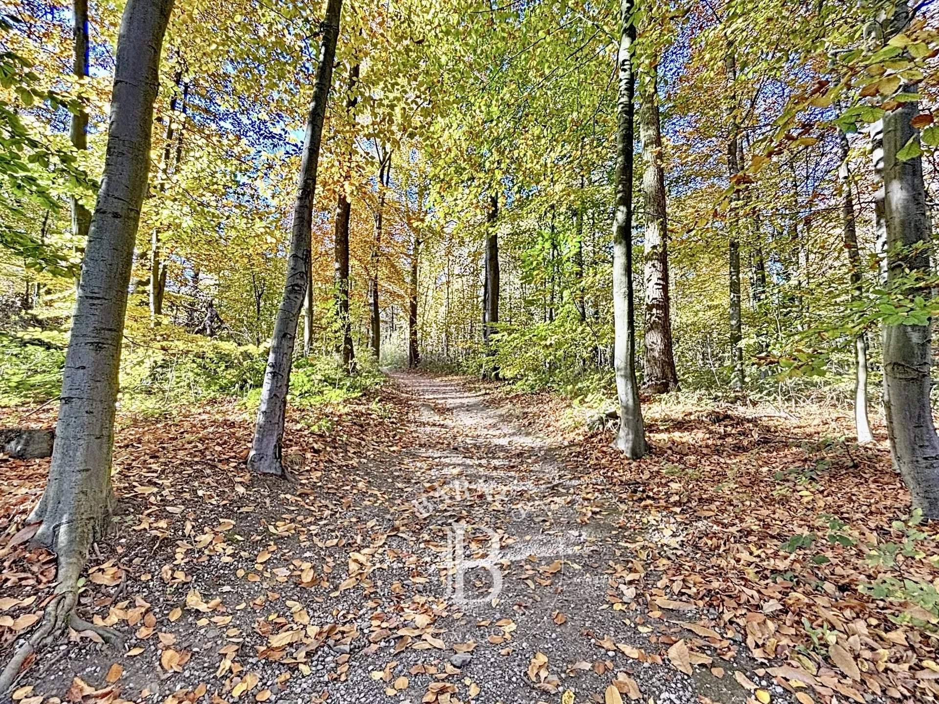 Ixelles  - Apartment 3 Bedrooms - picture 16