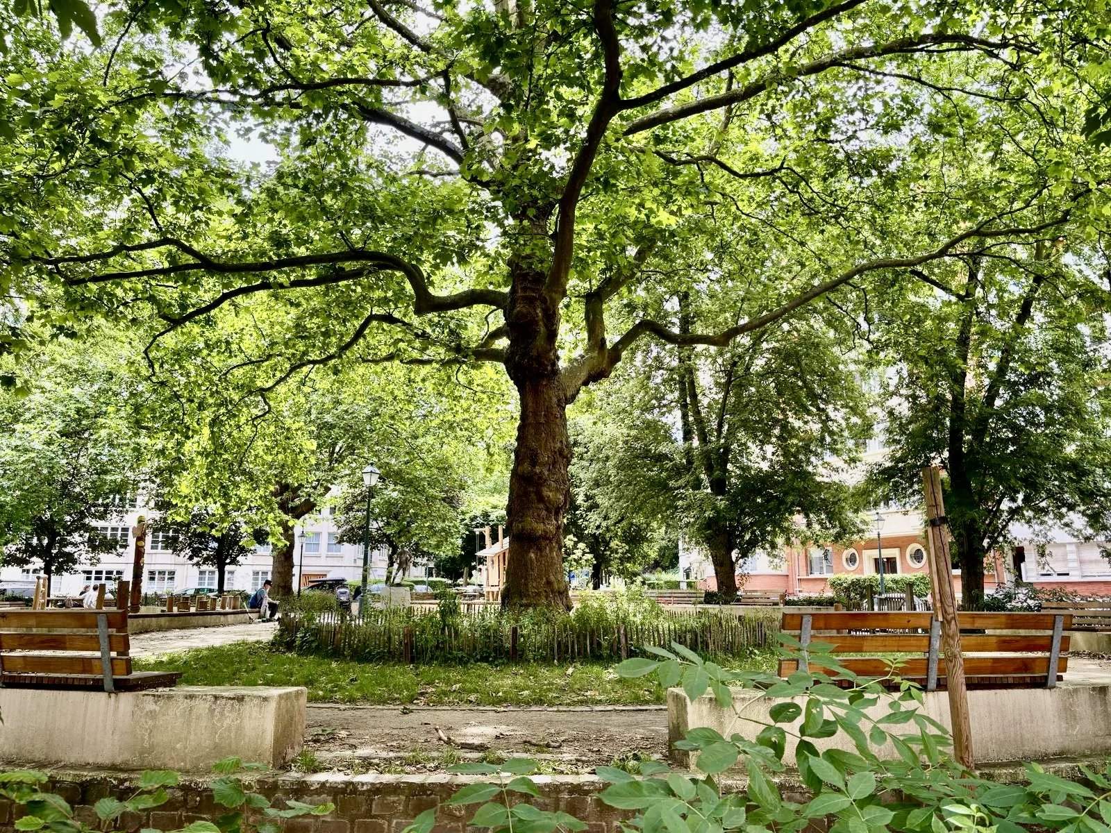 Uccle  - Apartment 2 Bedrooms - picture 15