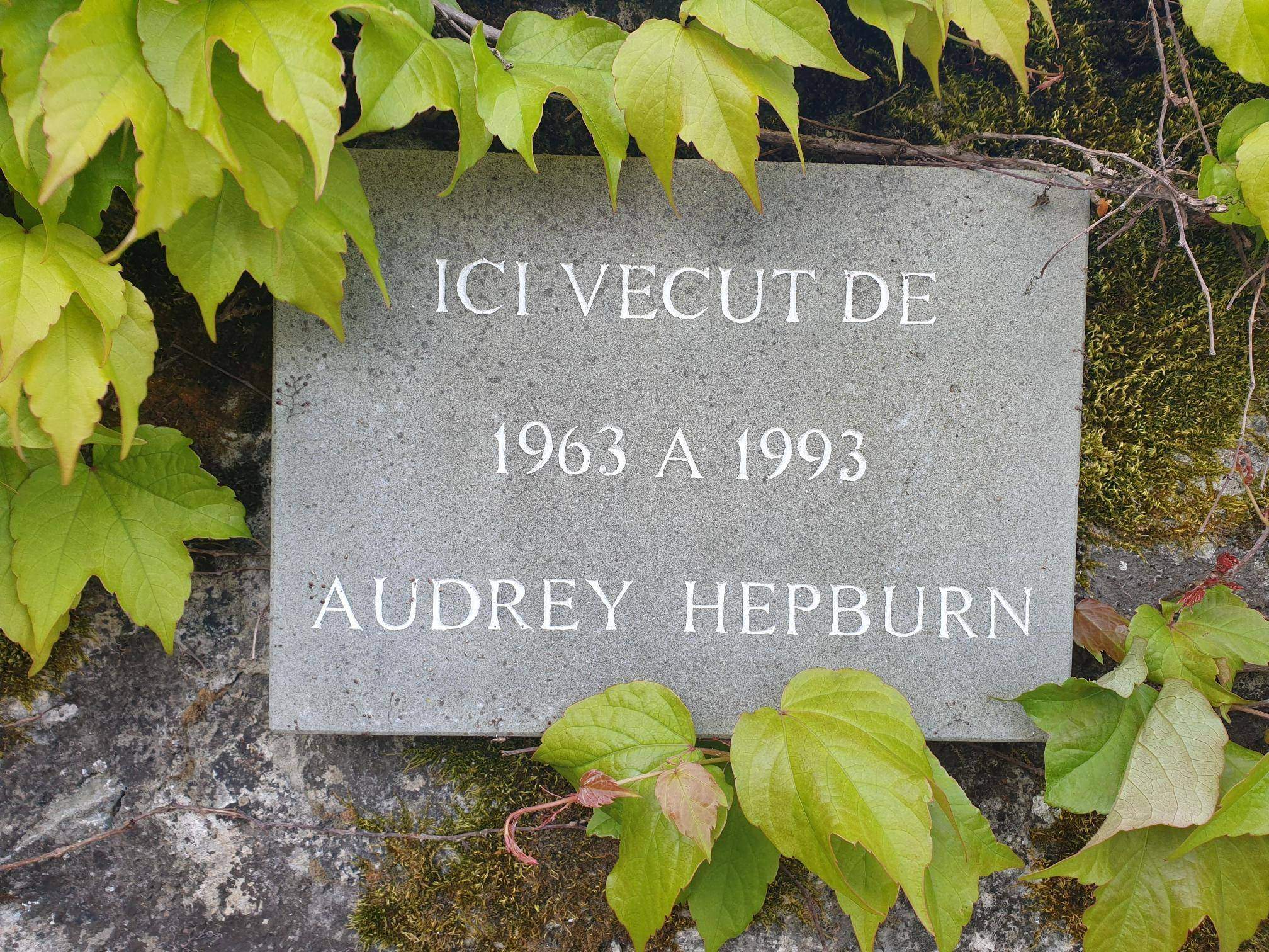 Tolochenaz  - House 12 Bedrooms - picture 13