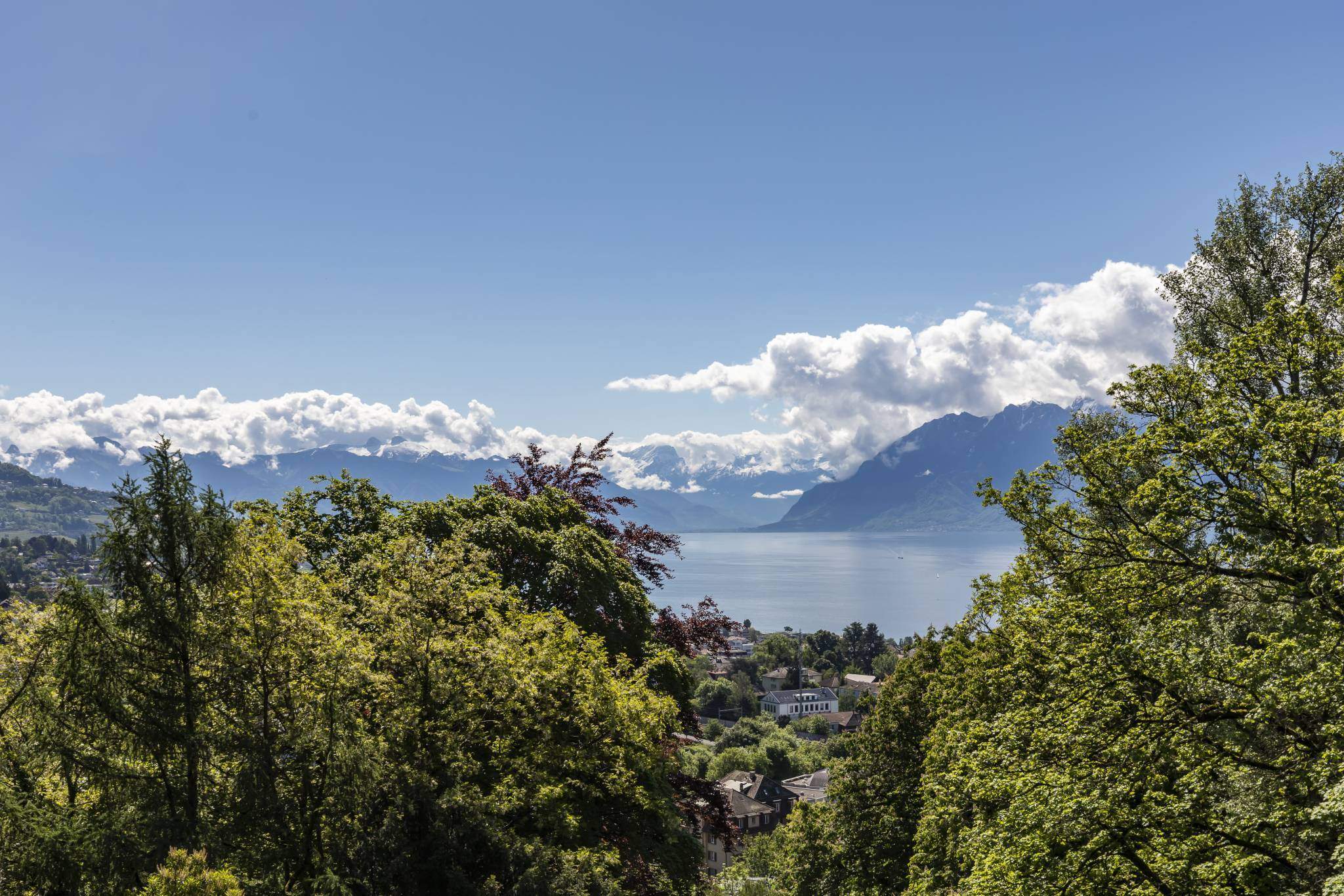 Lausanne  - House 7 Bedrooms - picture 11