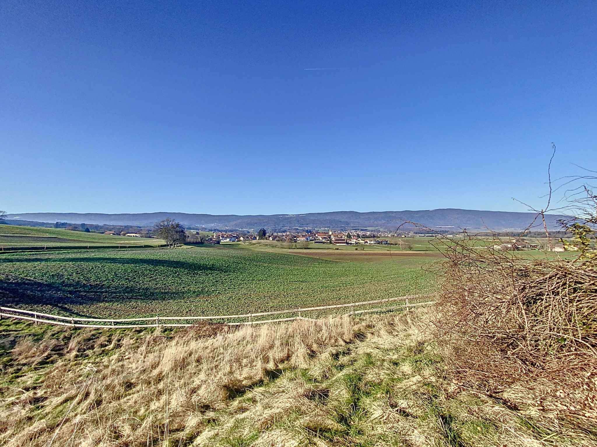 Essertines-sur-Rolle  - House 6 Bedrooms - picture 9