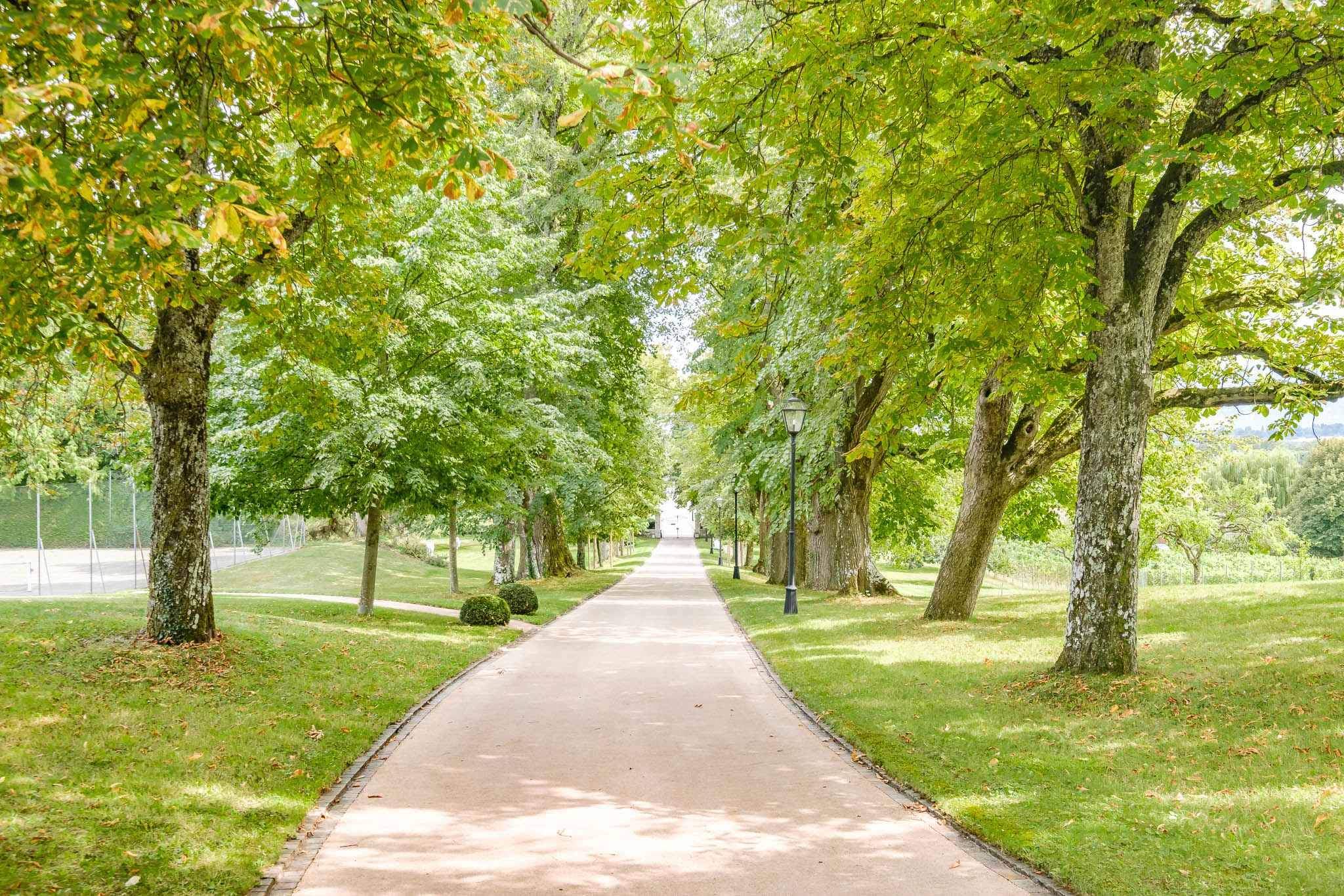 Collex-Bossy  - House 8 Bedrooms - picture 16