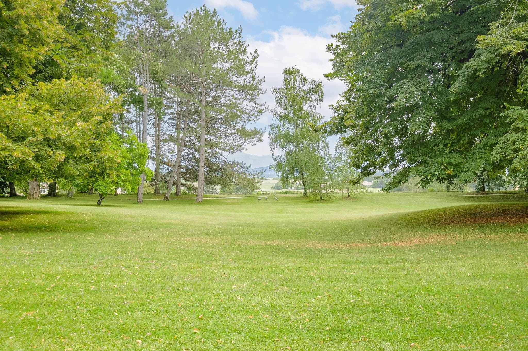 Collex-Bossy  - House 8 Bedrooms - picture 8