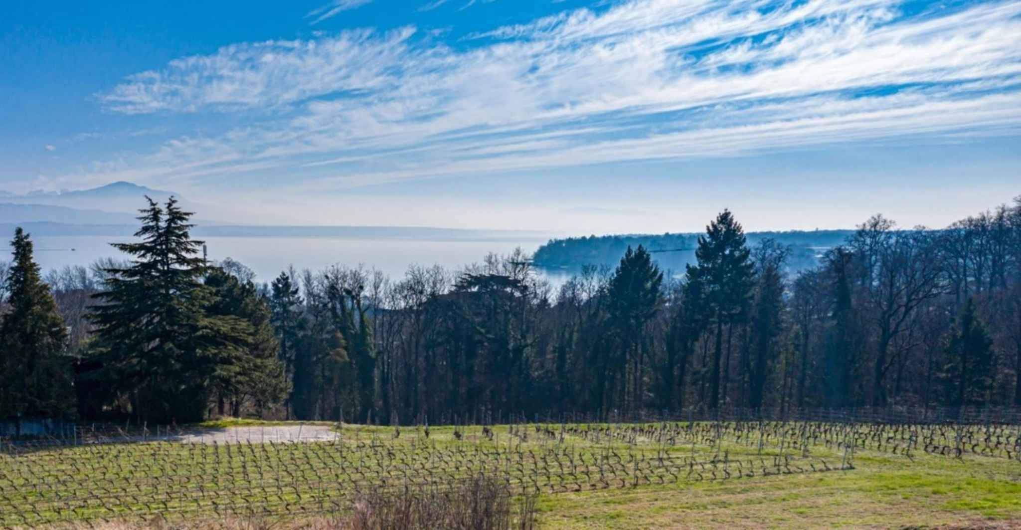 Dully  - House 5 Bedrooms - picture 1