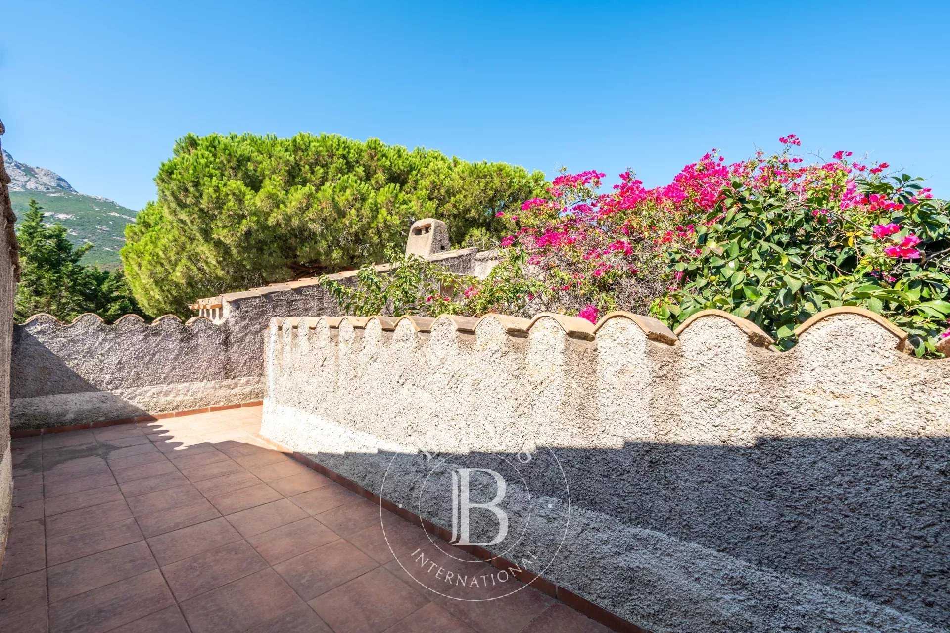 Calvi  - Villa 5 Bedrooms