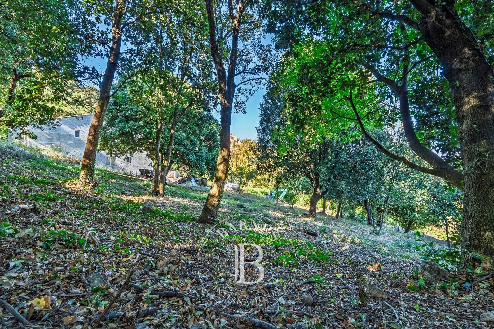 Occhiatana  - Building land 