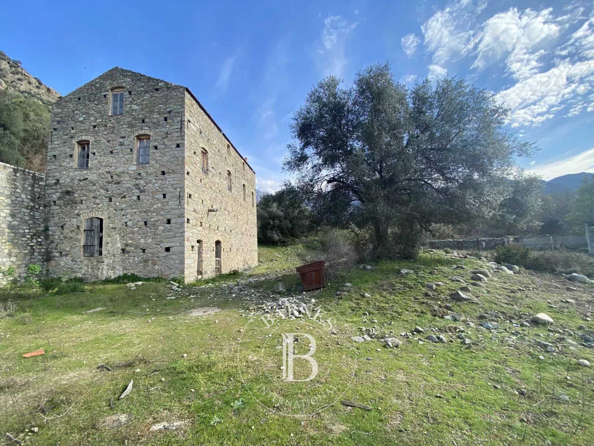 L'Île-Rousse  - Property 